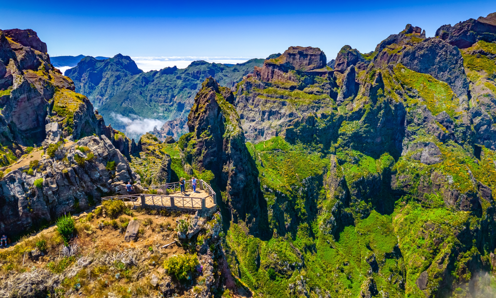 Цветущая Мадейра с авиаперелетом из Спб (23/41)