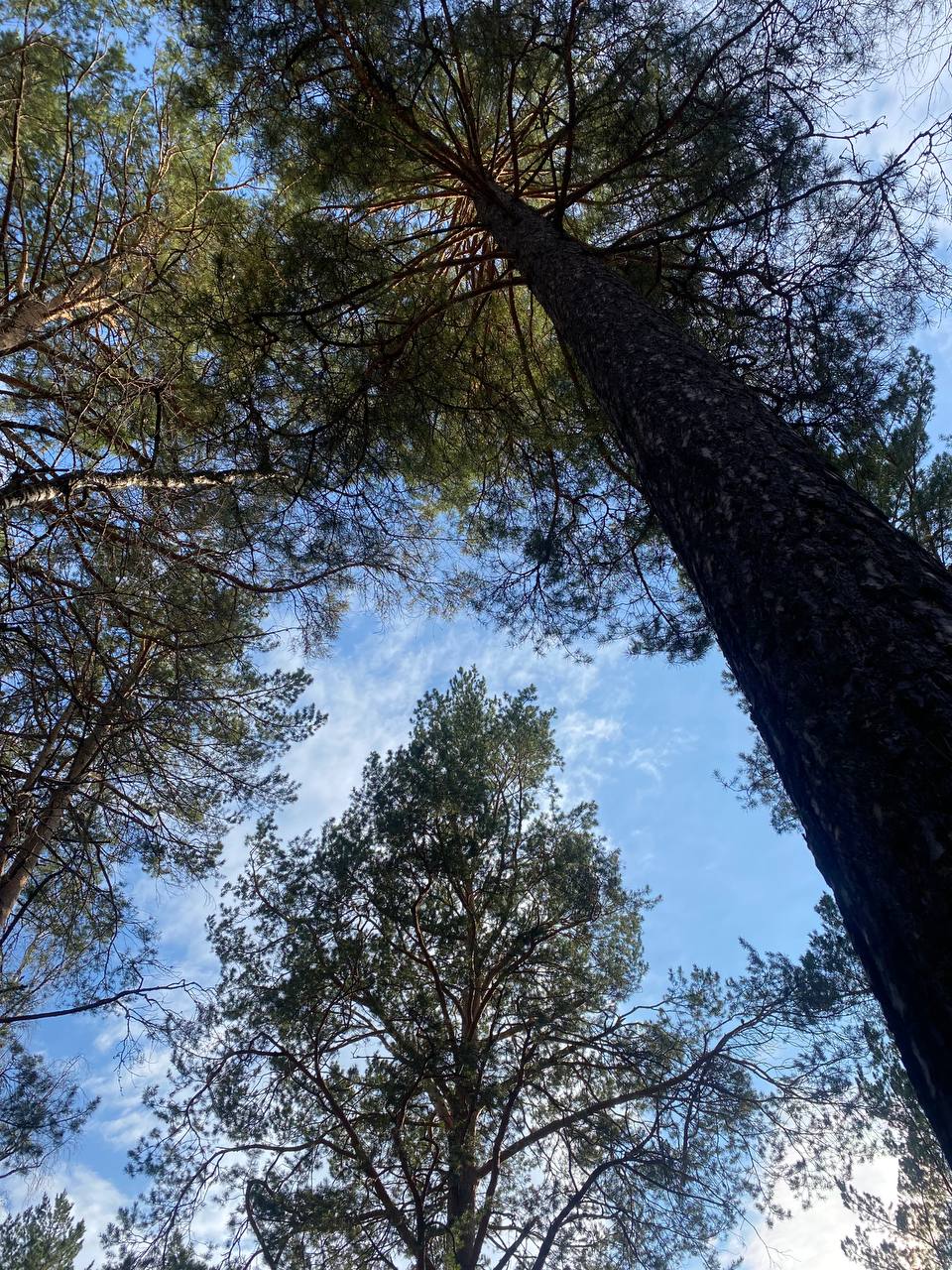 Ретрит на Алтае: от гор к внутренним вершинам (51/56)