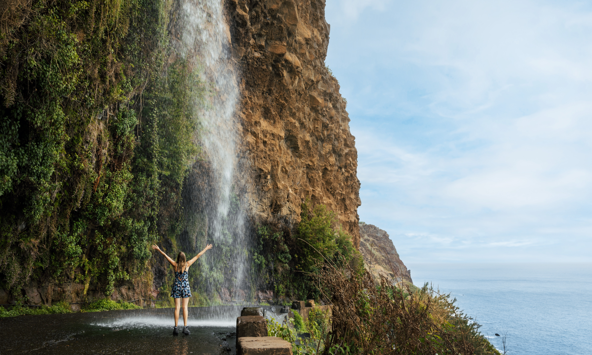 Цветущая Мадейра с авиаперелетом из Спб (21/41)