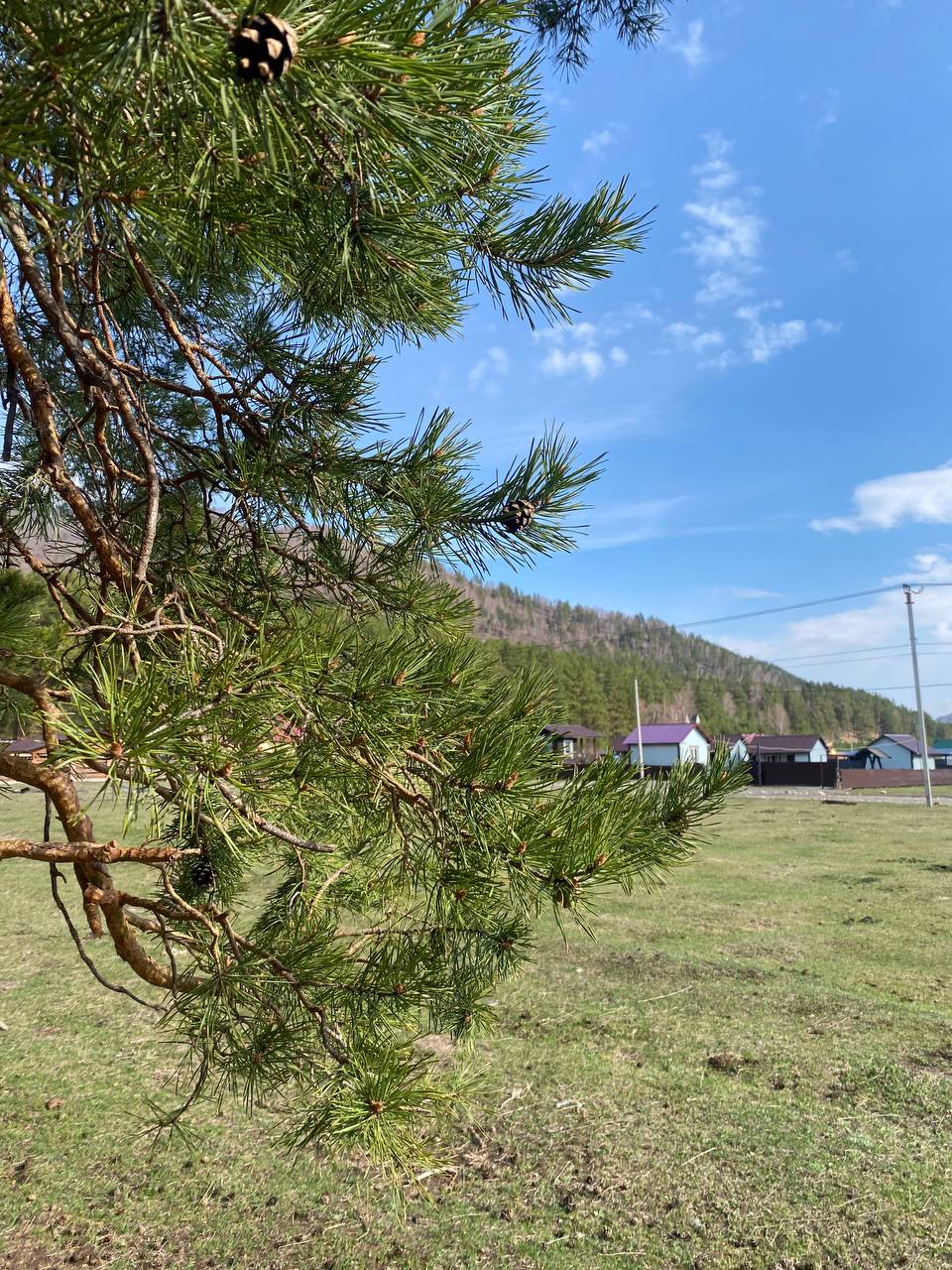 Ретрит на Алтае: от гор к внутренним вершинам (43/56)