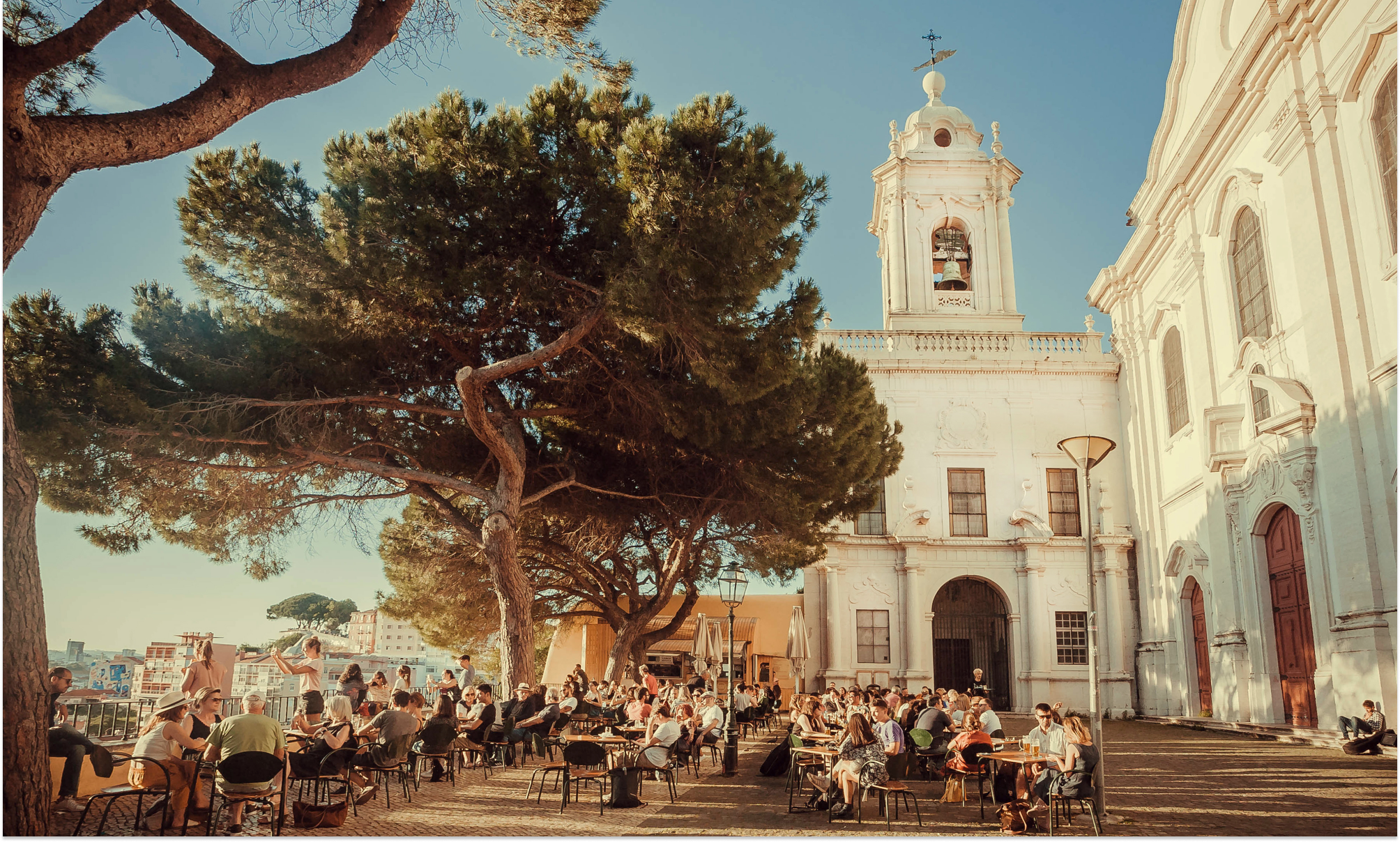 Цветущая Мадейра с авиаперелетом из Спб (39/41)