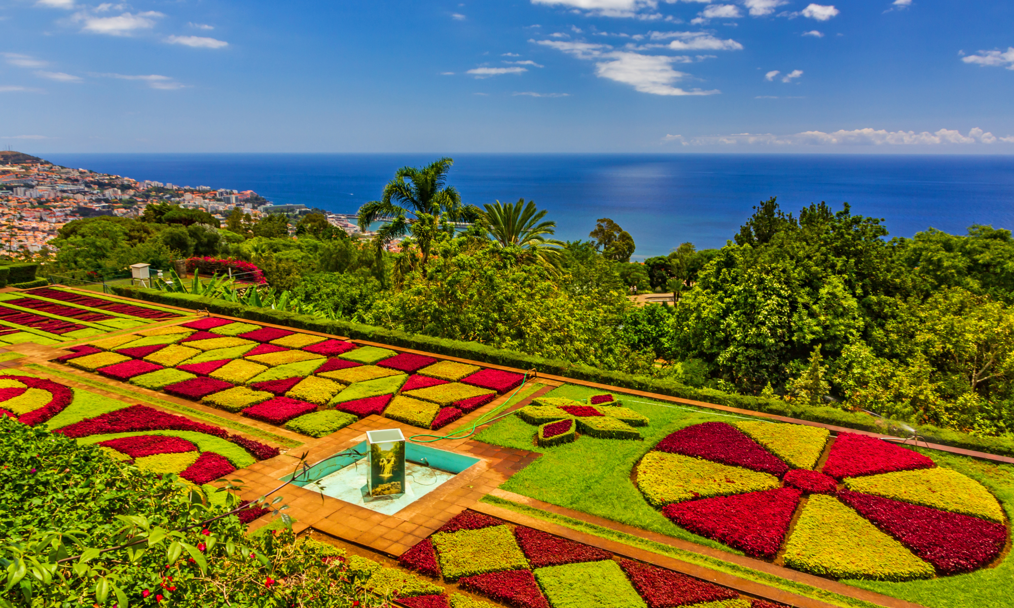 Цветущая Мадейра с авиаперелетом из Москвы (8/41)