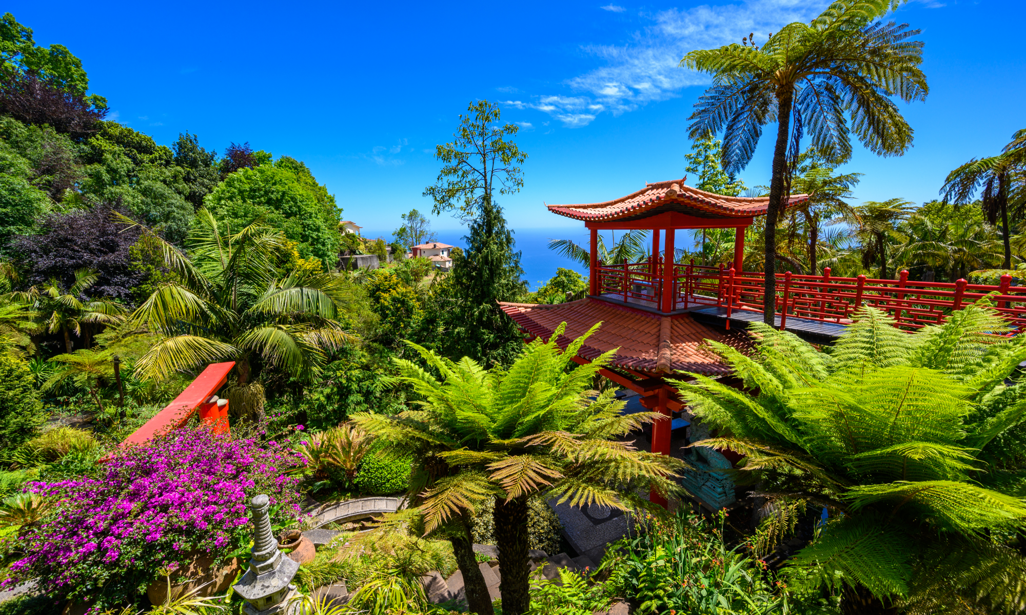 Цветущая Мадейра с авиаперелетом из Спб (19/41)