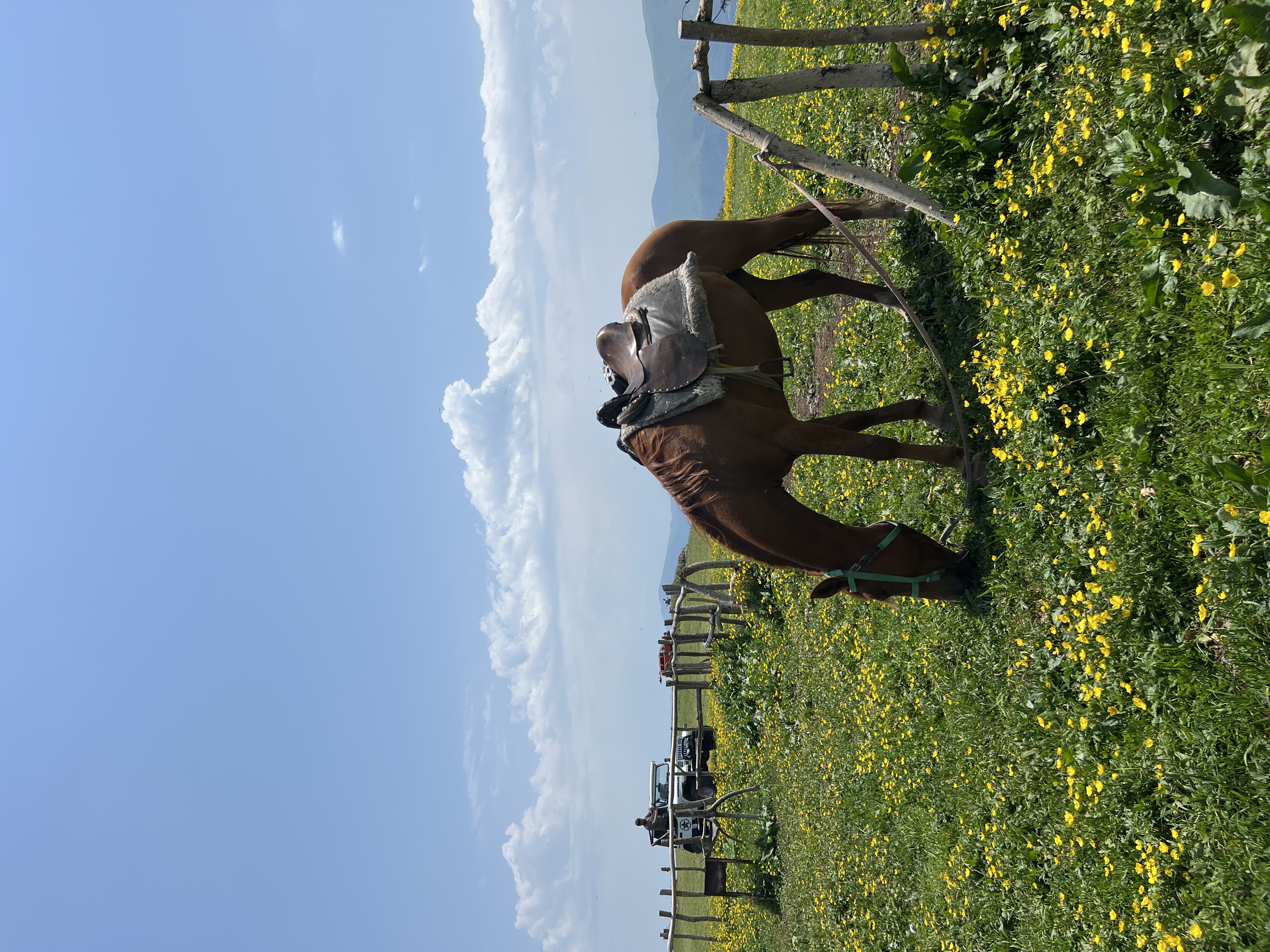 Эко-роскошь в дикой Армении. Активный тур для ценителей (19/35)