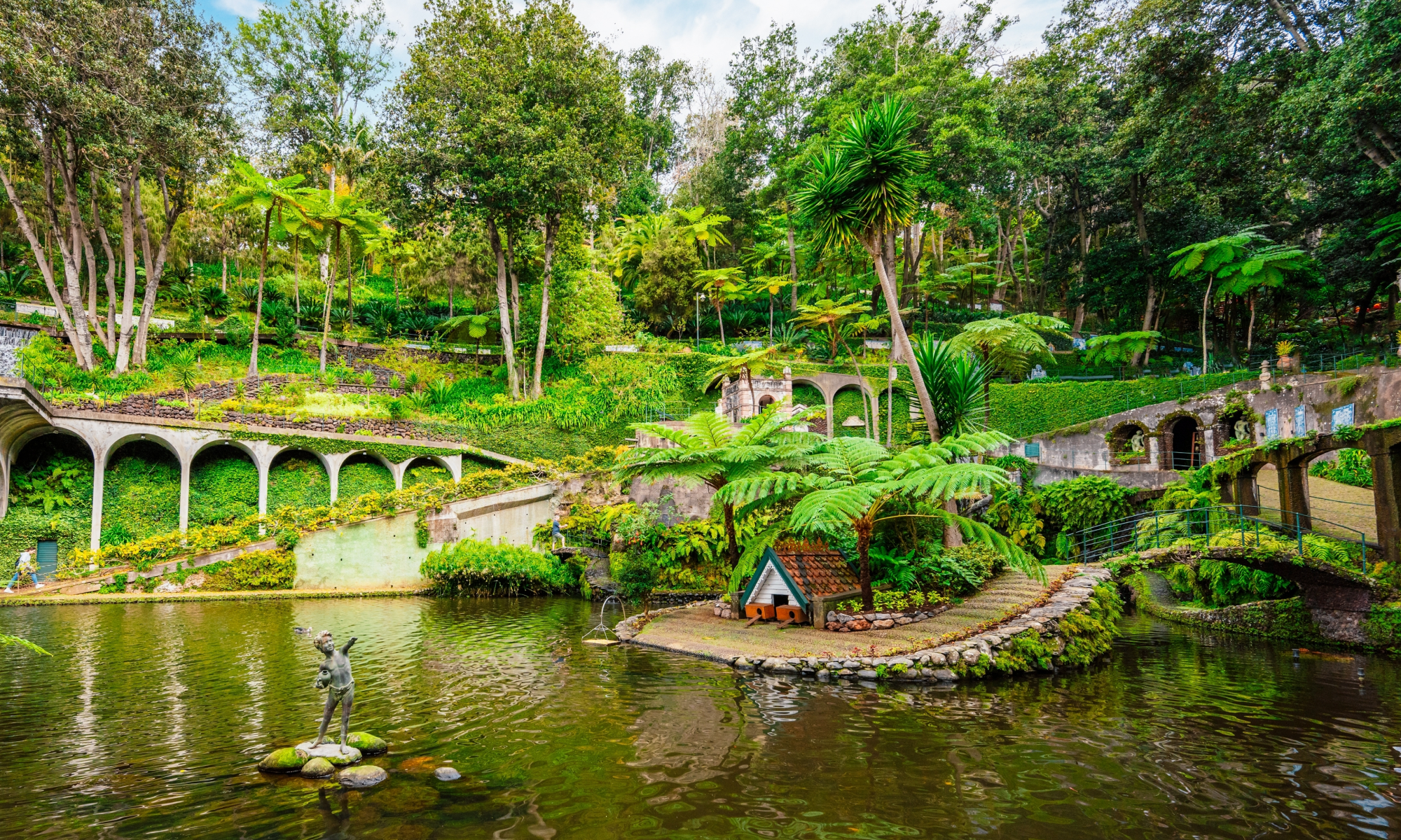 Цветущая Мадейра с авиаперелетом из Спб (10/41)