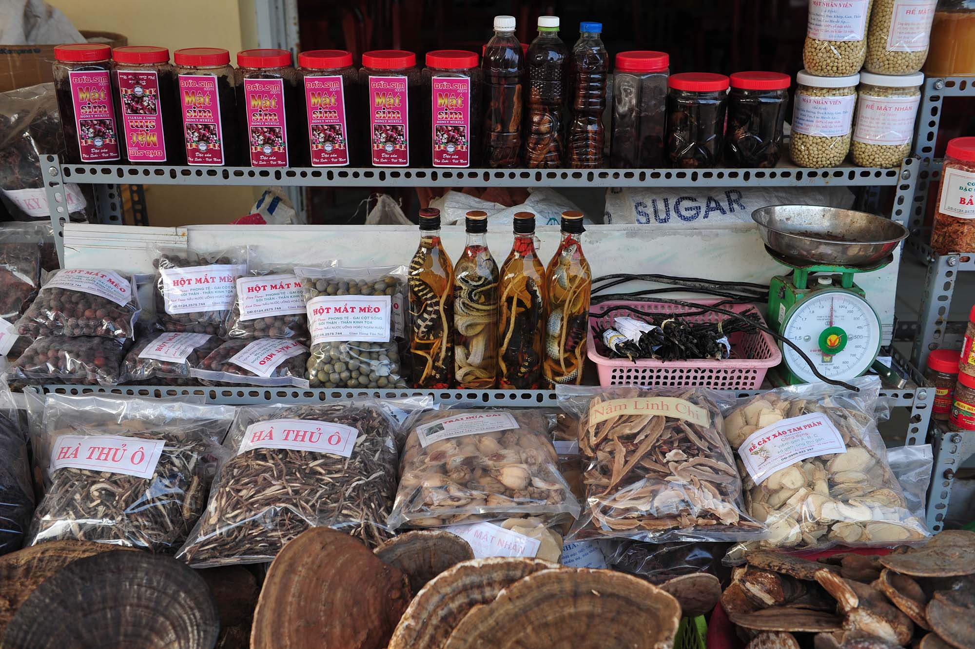 Вьетнам и Камбоджа — 2 острова, 7 локаций, Ангор Ват, гора Бакор, Хошимин. (6/52)