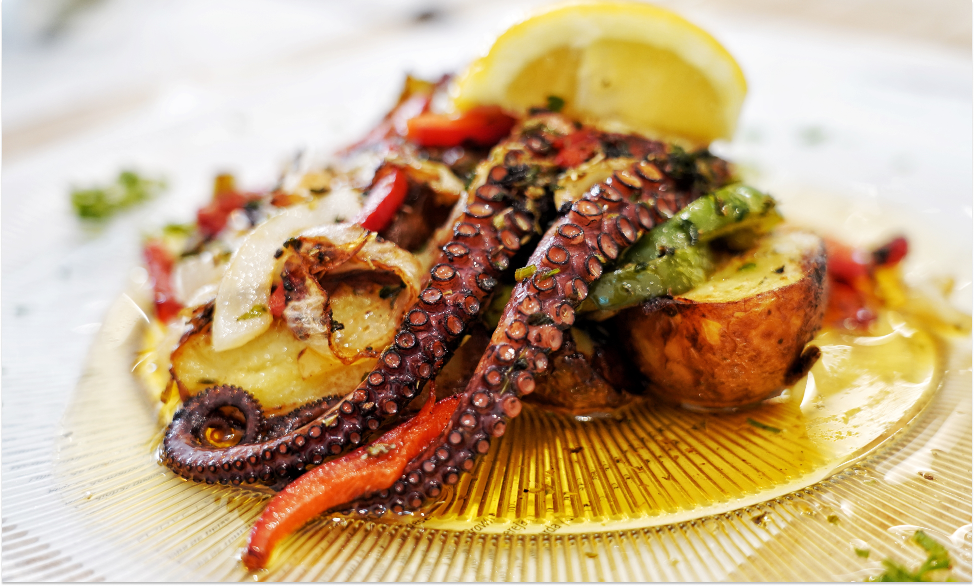 Цветущая Мадейра с авиаперелетом из Спб (38/41)