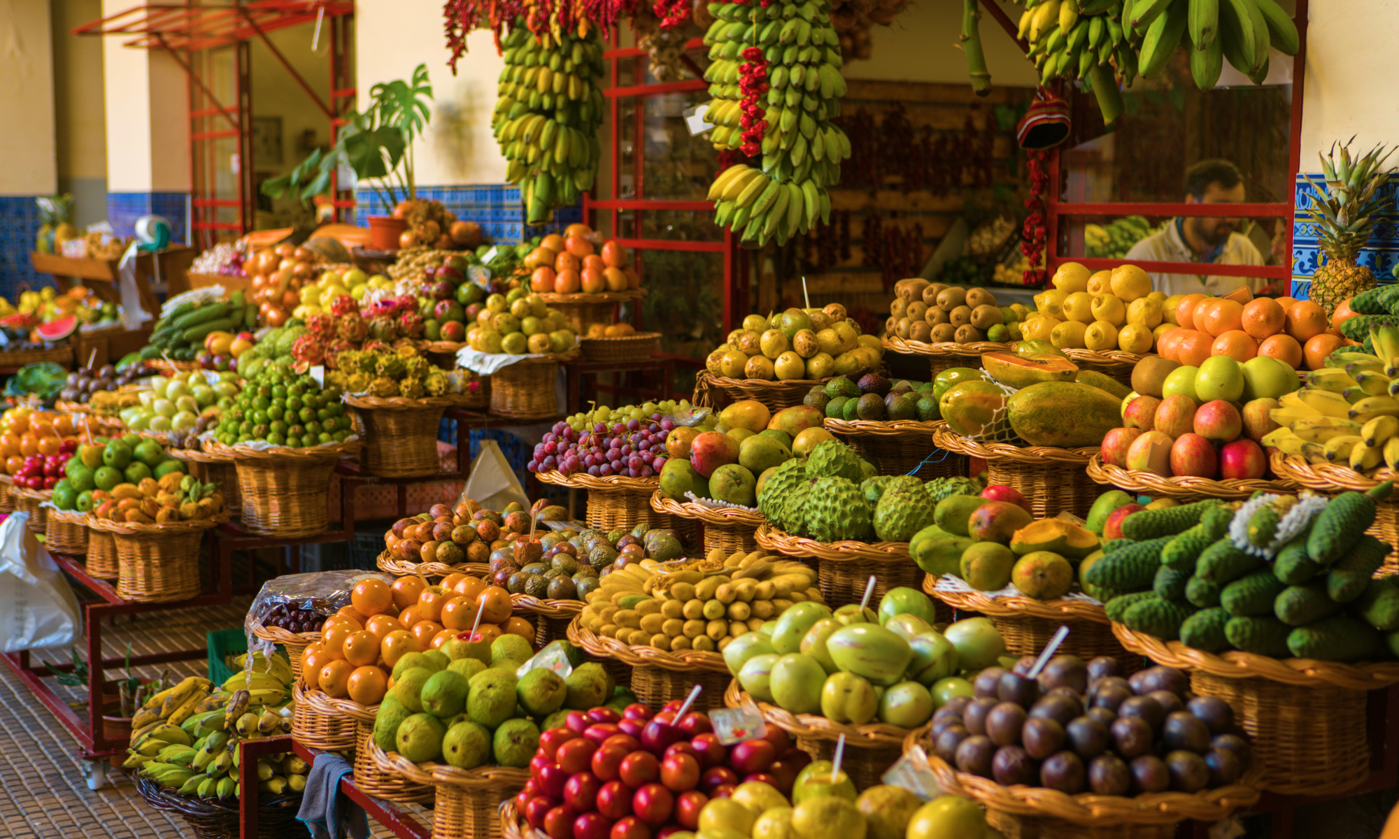 Цветущая Мадейра с авиаперелетом из Москвы (13/41)