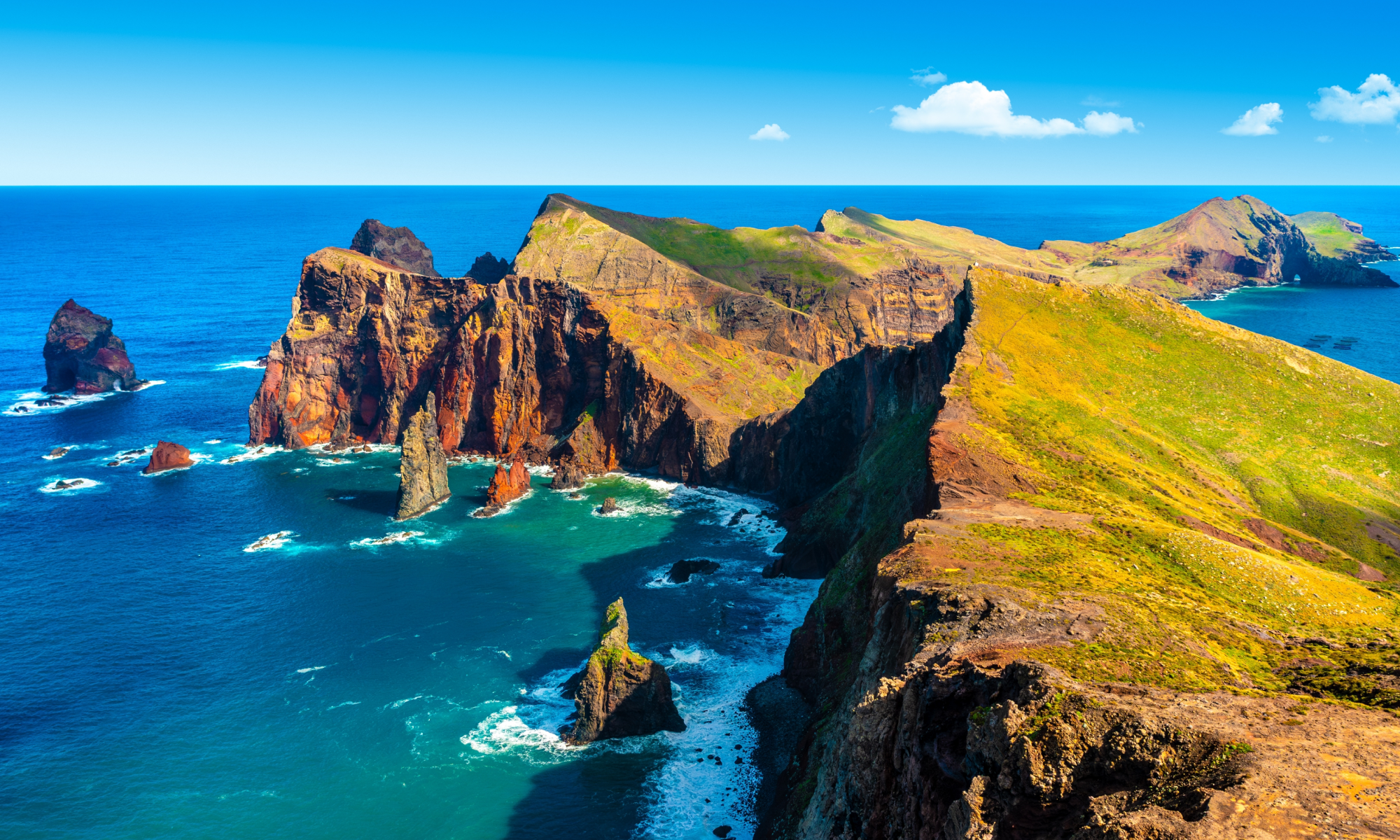 Цветущая Мадейра с авиаперелетом из Москвы (22/41)