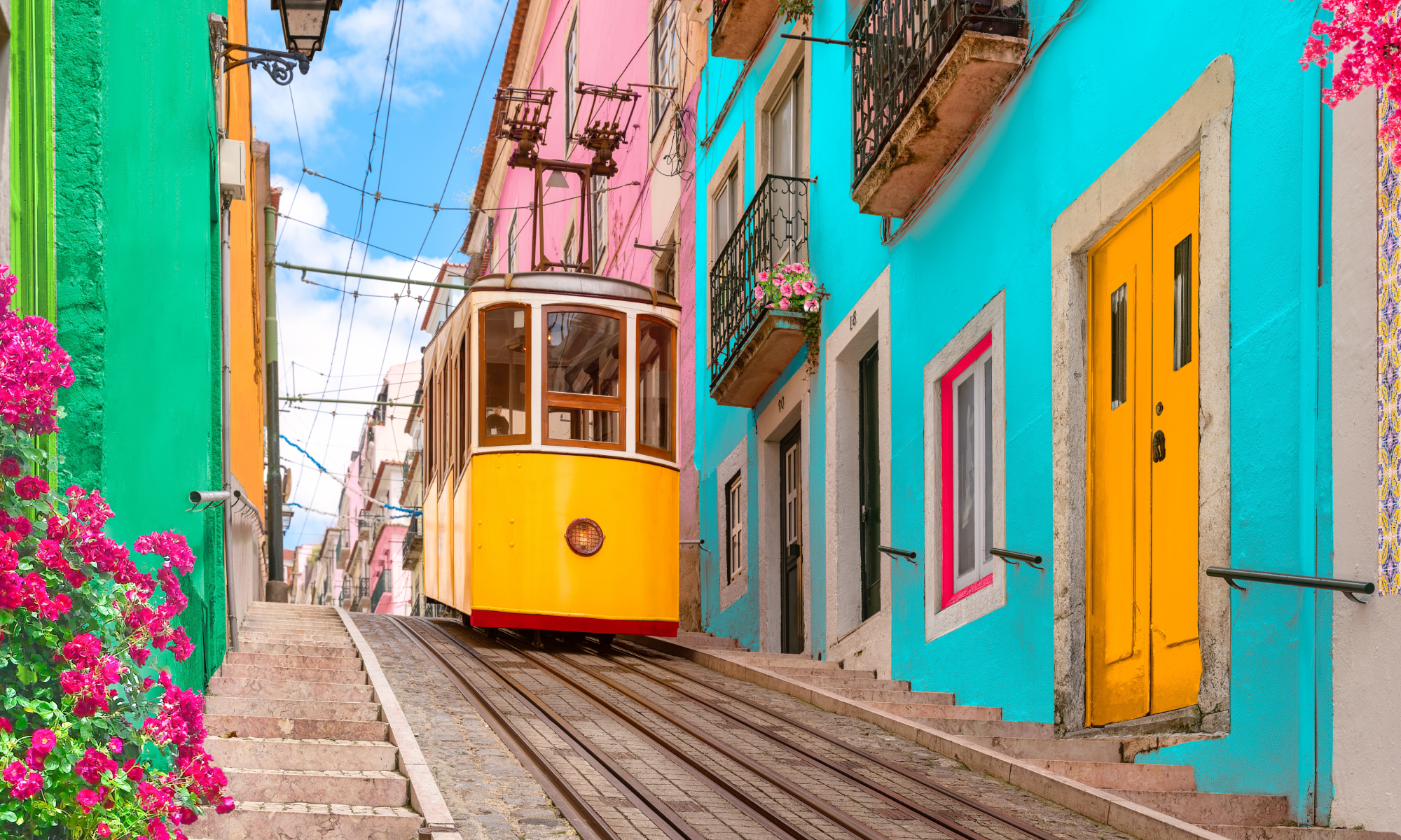 Цветущая Мадейра с авиаперелетом из Спб (25/41)