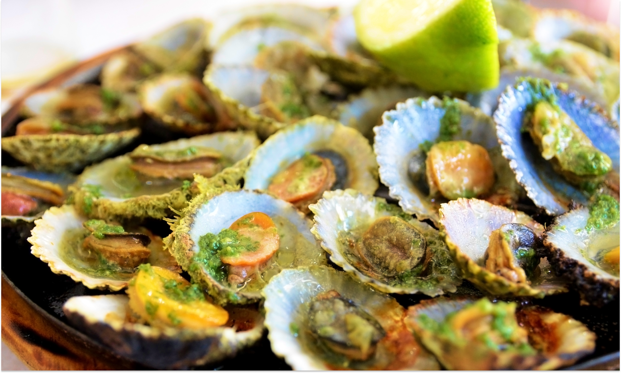 Цветущая Мадейра с авиаперелетом из Москвы (37/41)