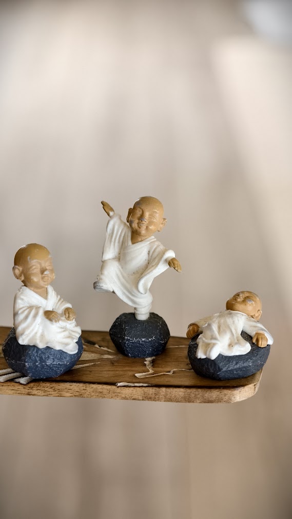 Ретрит на Алтае: от гор к внутренним вершинам (45/56)