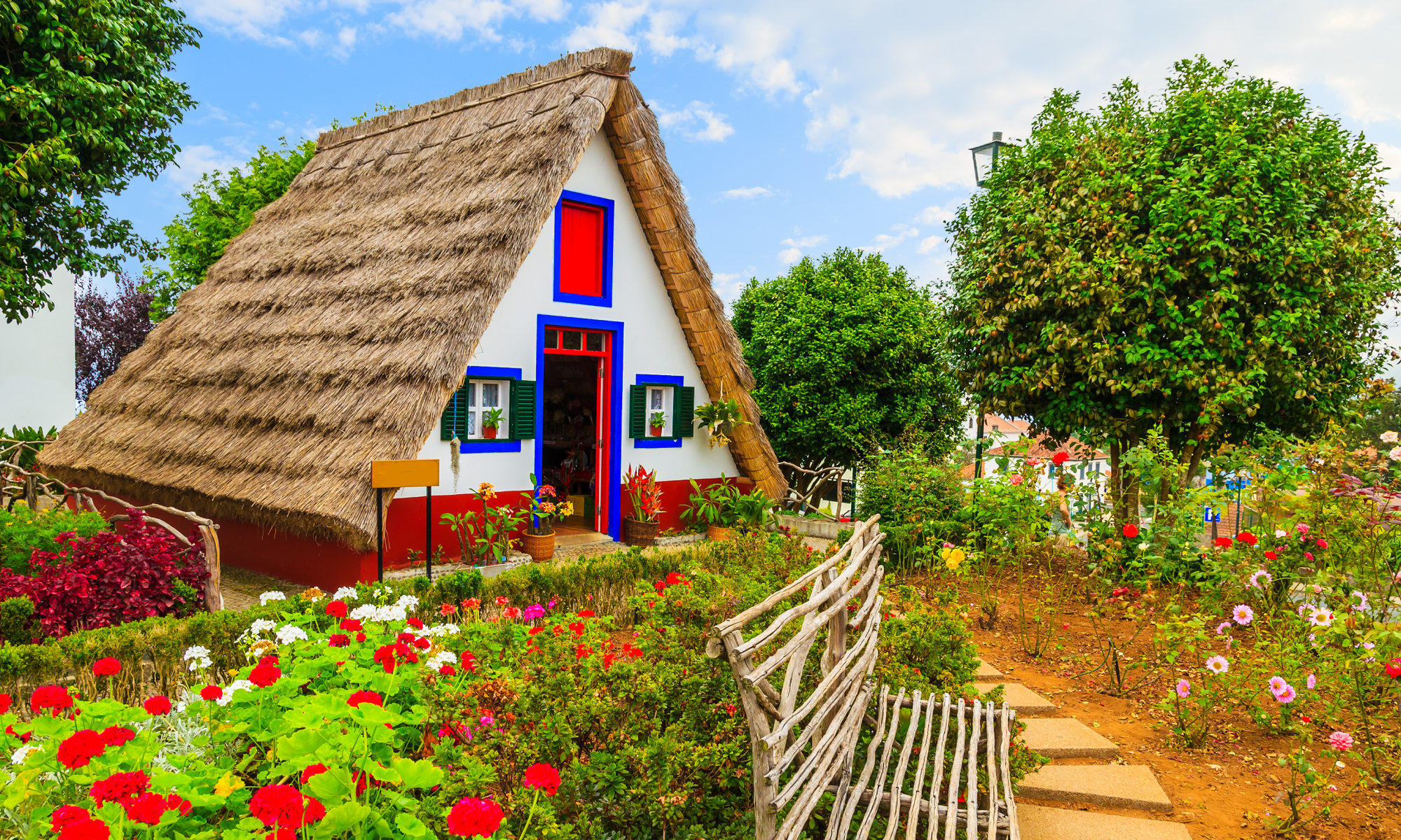 Цветущая Мадейра с авиаперелетом из Спб (15/41)