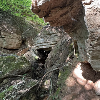 Мульти-тур Окская тропа и озеро Ключик на Sup, Нижний Новгород (16/16)