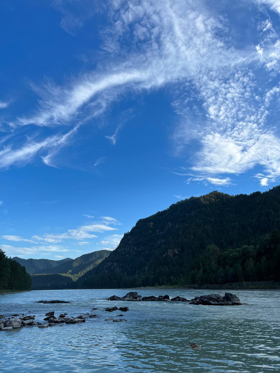 Ретрит на Алтае: от гор к внутренним вершинам (52/56)