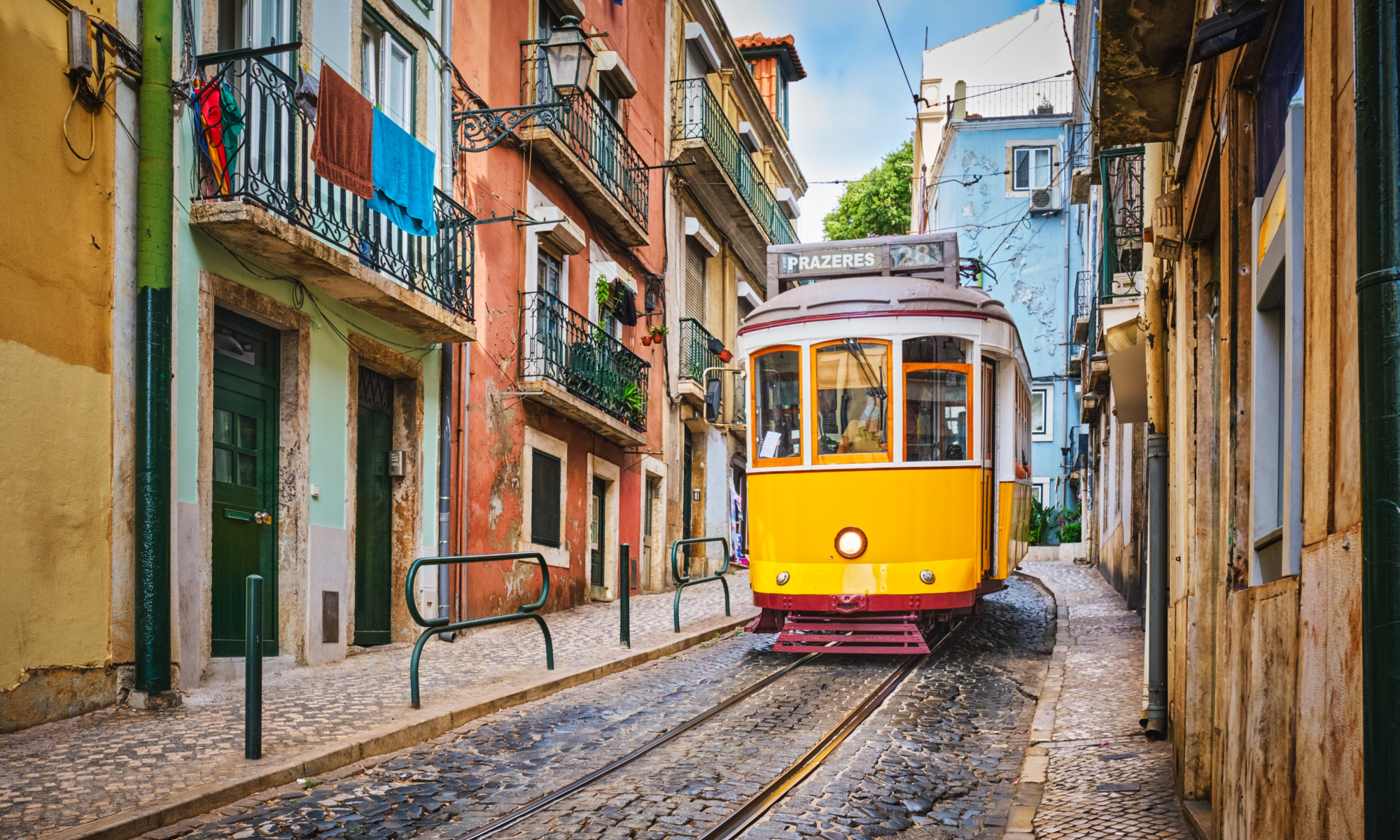 Цветущая Мадейра с авиаперелетом из Москвы (31/41)