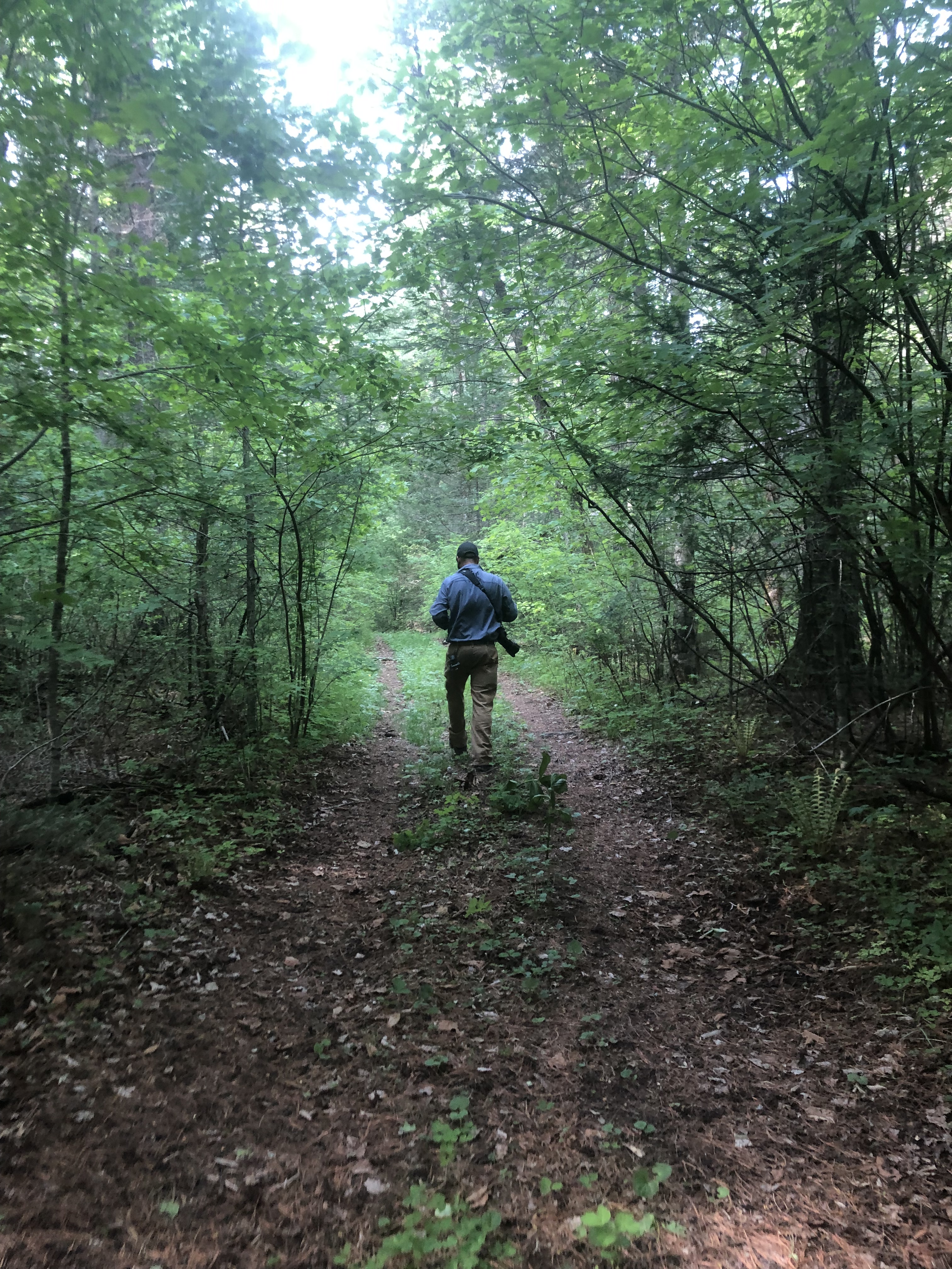 Земля тигров, неделя с комфортом, все включено. Тайга, море и Владивосток. (2/35)