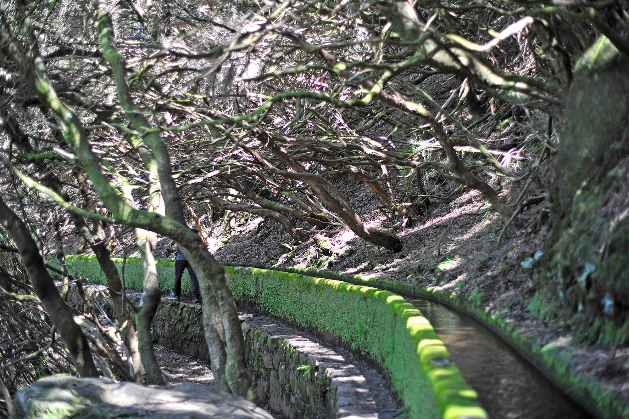 Вкусная Барселона, ароматная Португалия и сказочный остров Мадейра. (45/82)