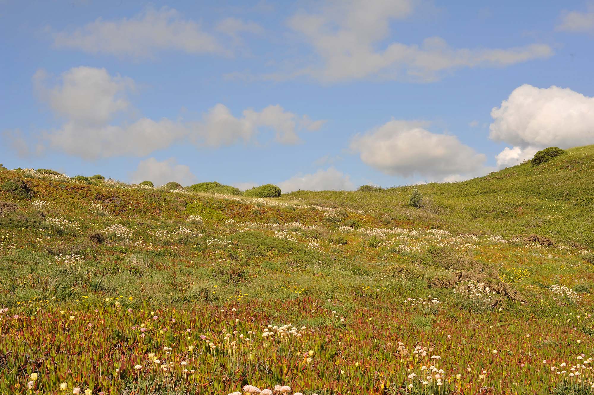 Вкусная Барселона, ароматная Португалия и сказочный остров Мадейра. (12/82)