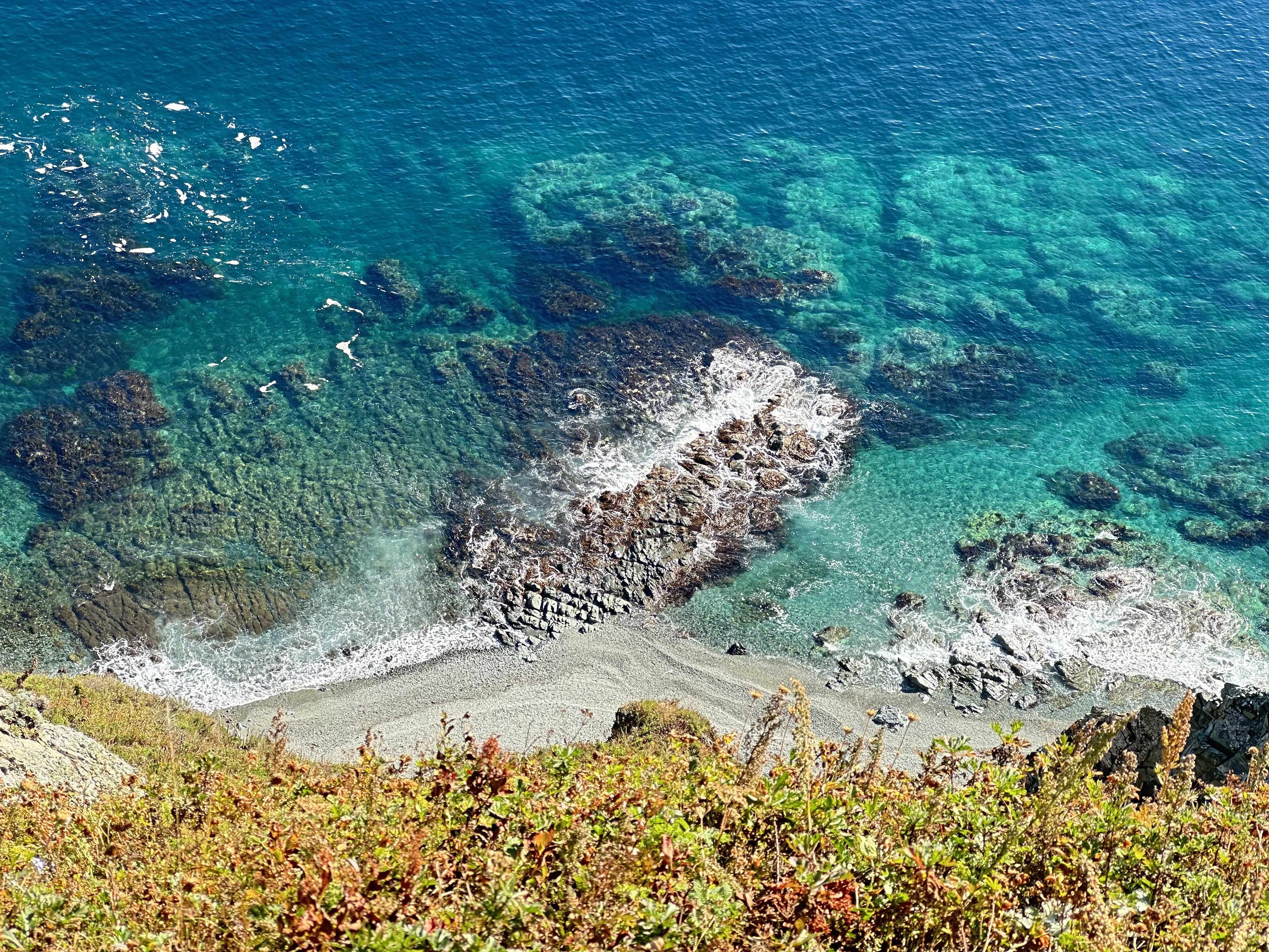 Земля тигров, неделя с комфортом, все включено. Тайга, море и Владивосток. (12/35)