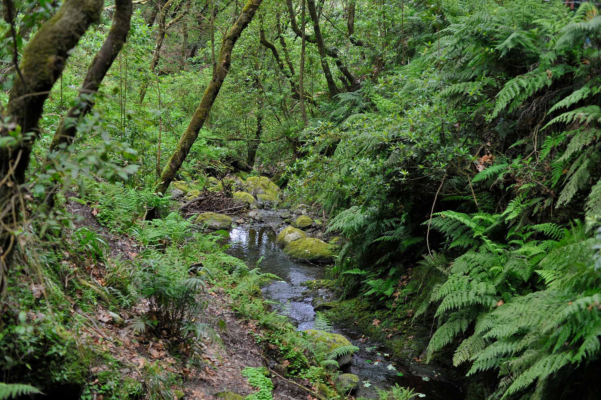Вкусная Барселона, ароматная Португалия и сказочный остров Мадейра. (32/82)