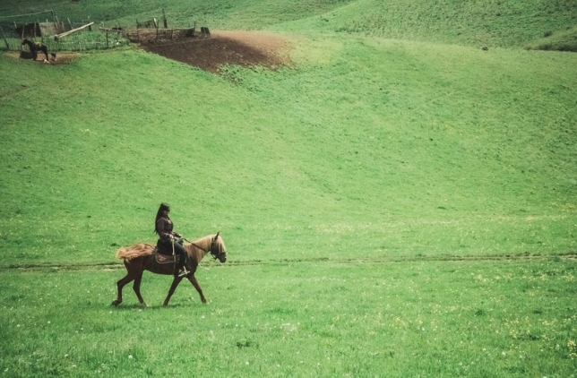 Кыргызстан — страна небесных гор: тур на 6 дней по знаковым местам (12/16)