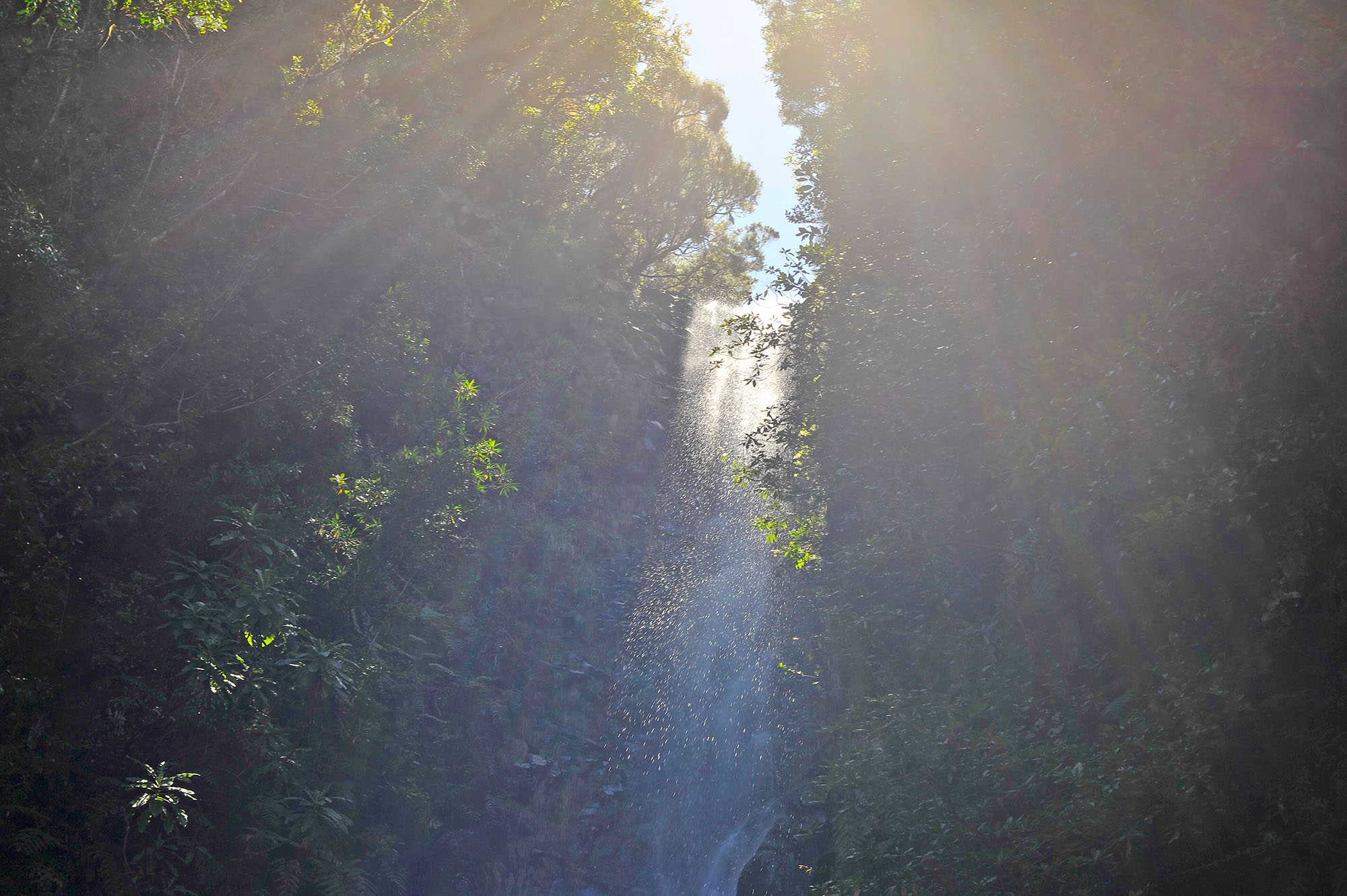 Вкусная Барселона, ароматная Португалия и сказочный остров Мадейра. (46/82)