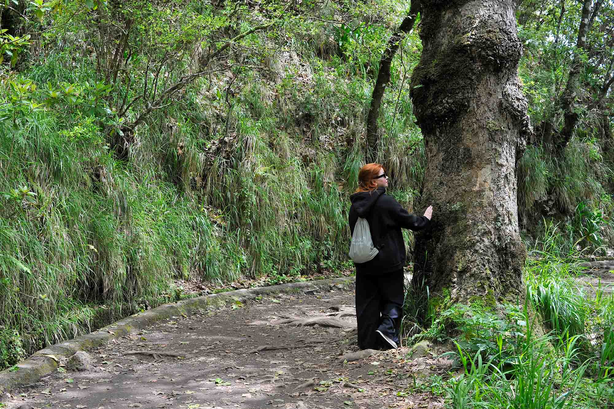 Вкусная Барселона, ароматная Португалия и сказочный остров Мадейра. (3/82)