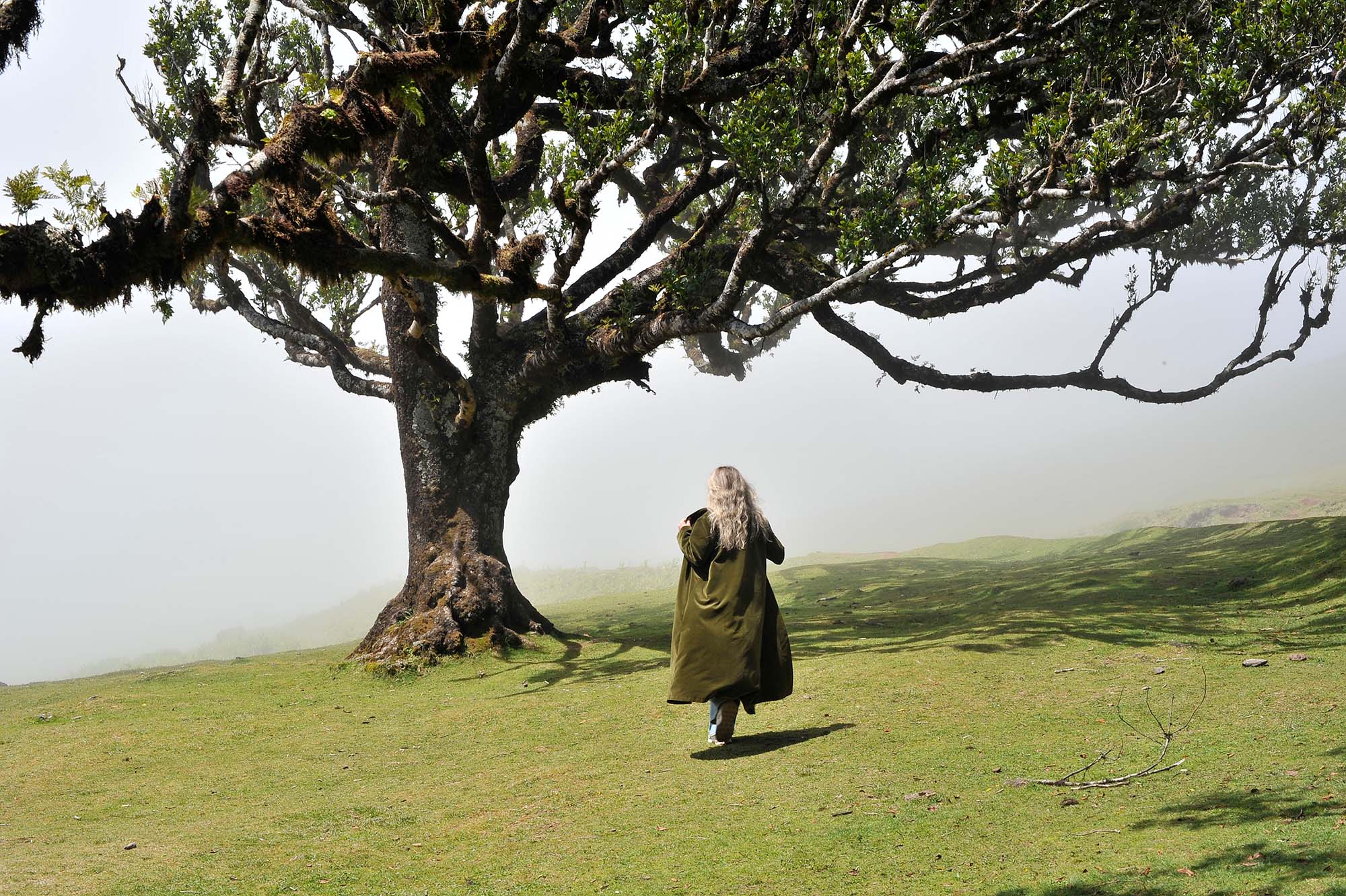 Вкусная Барселона, ароматная Португалия и сказочный остров Мадейра. (47/82)