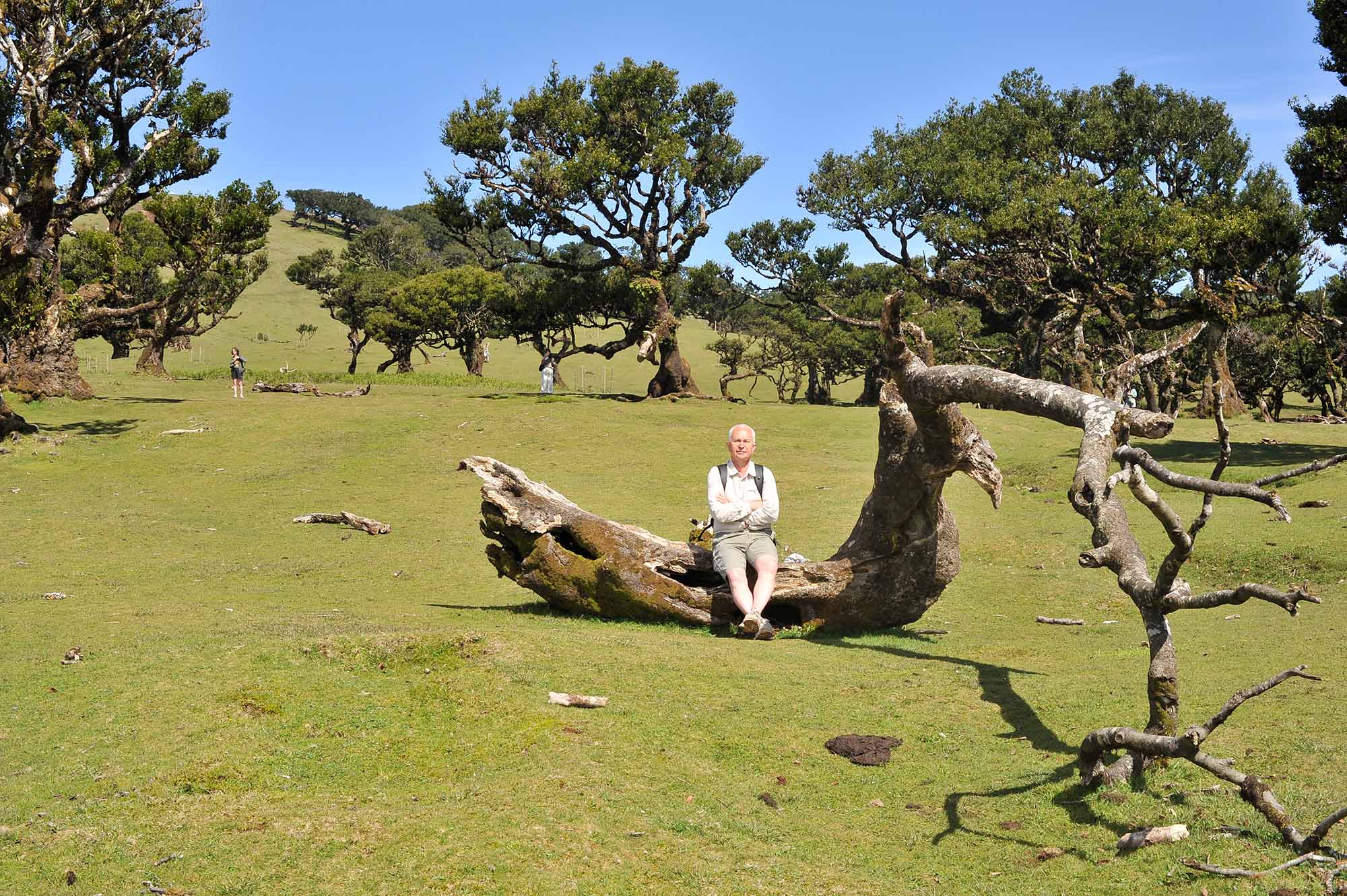 Вкусная Барселона, ароматная Португалия и сказочный остров Мадейра. (50/82)