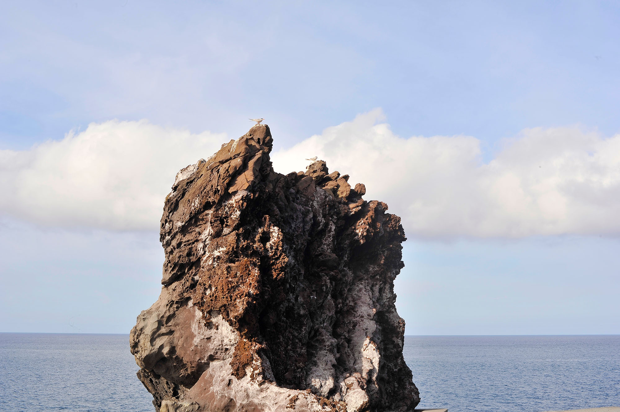 Вкусная Барселона, ароматная Португалия и сказочный остров Мадейра. (42/82)