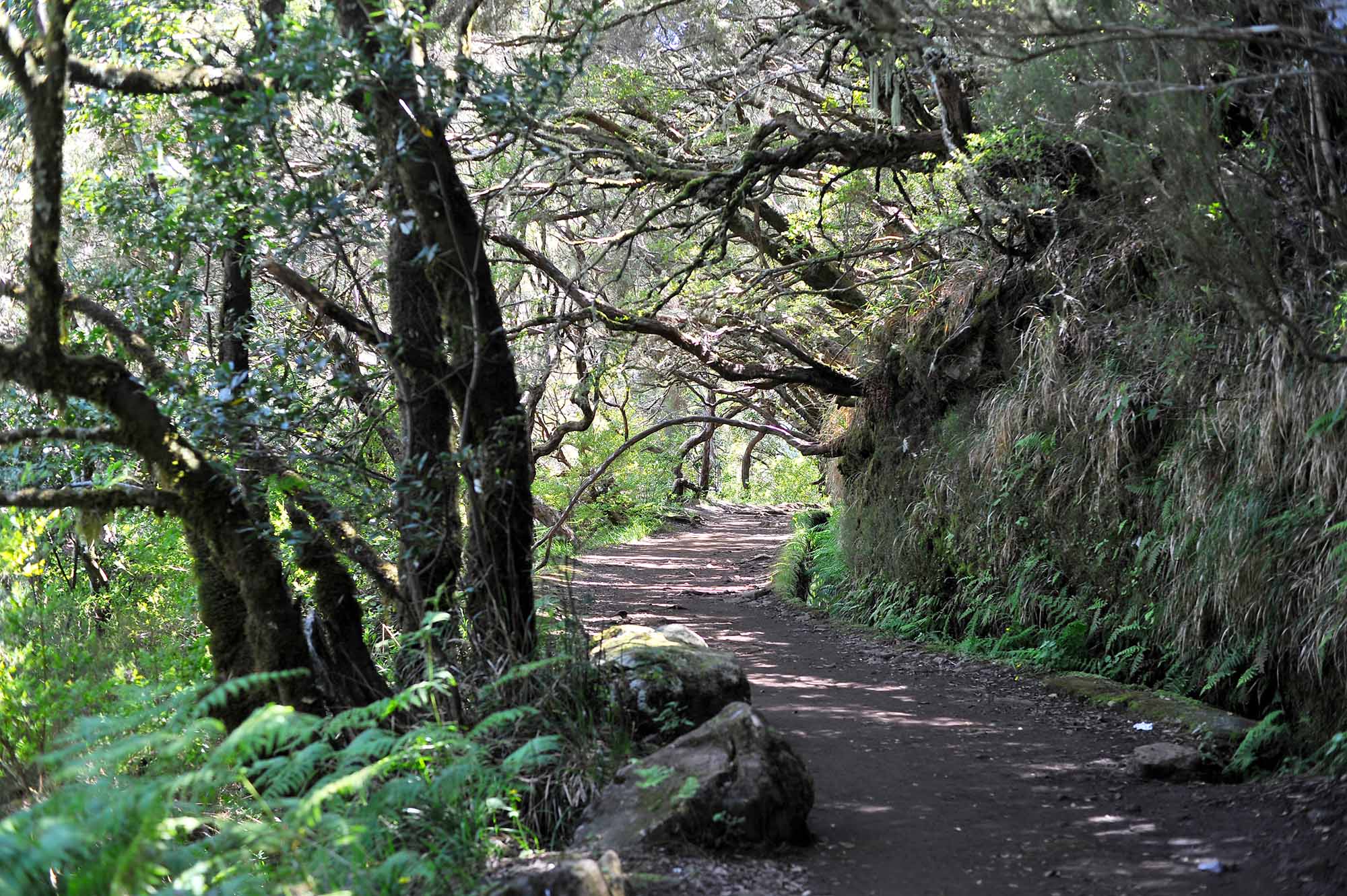 Вкусная Барселона, ароматная Португалия и сказочный остров Мадейра. (43/82)