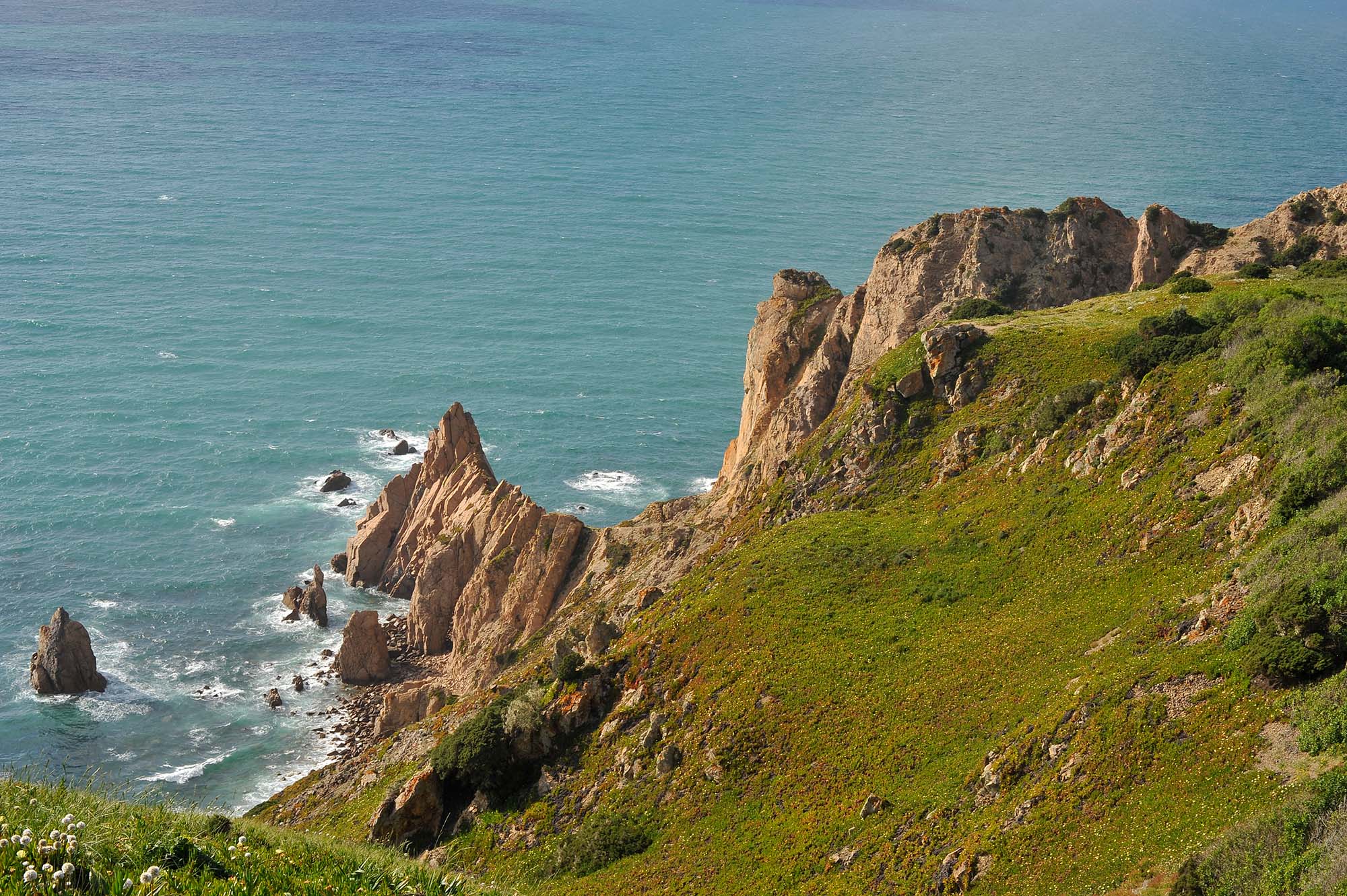 Вкусная Барселона, ароматная Португалия и сказочный остров Мадейра. (13/82)