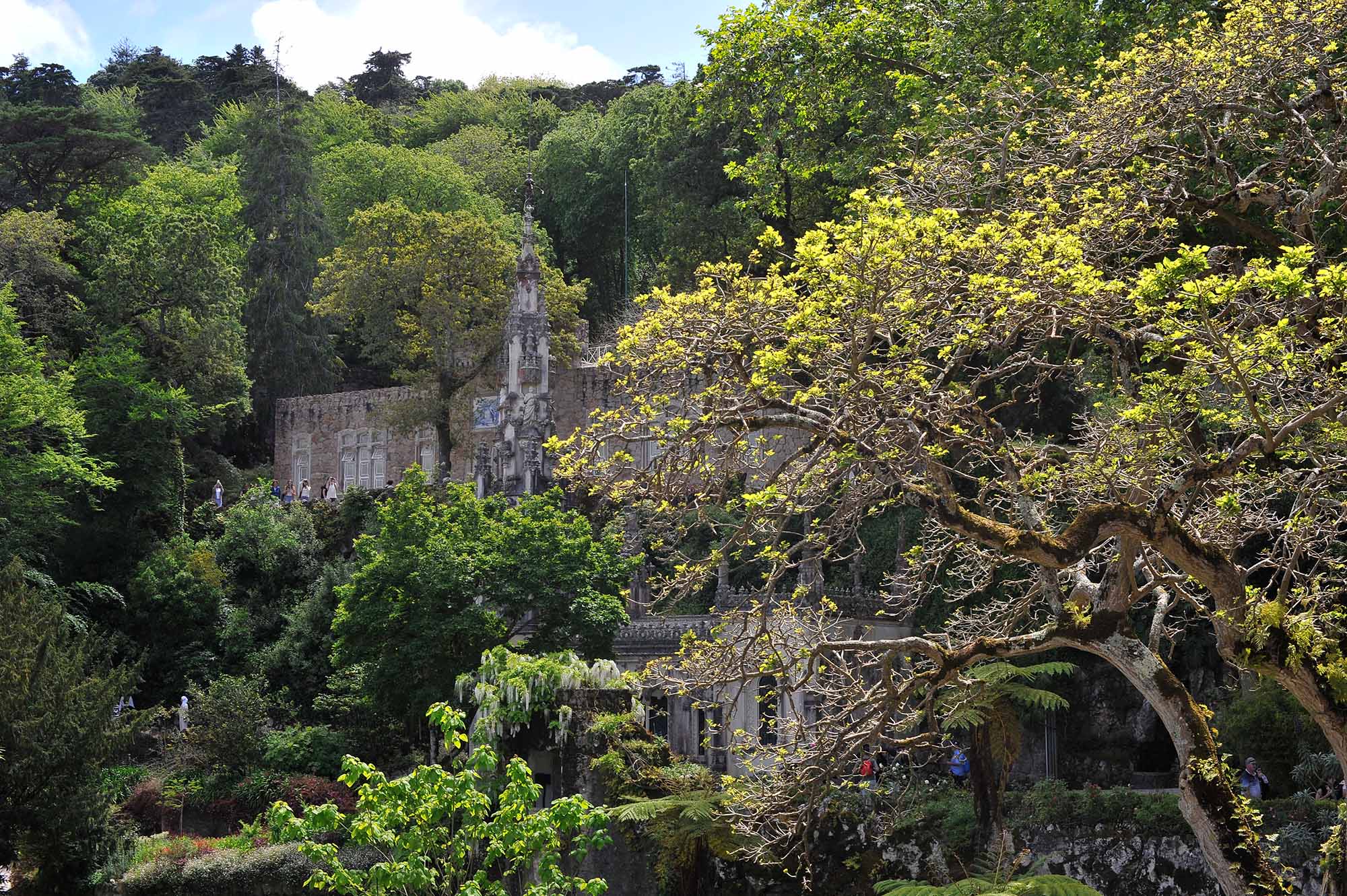 Вкусная Барселона, ароматная Португалия и сказочный остров Мадейра. (7/82)