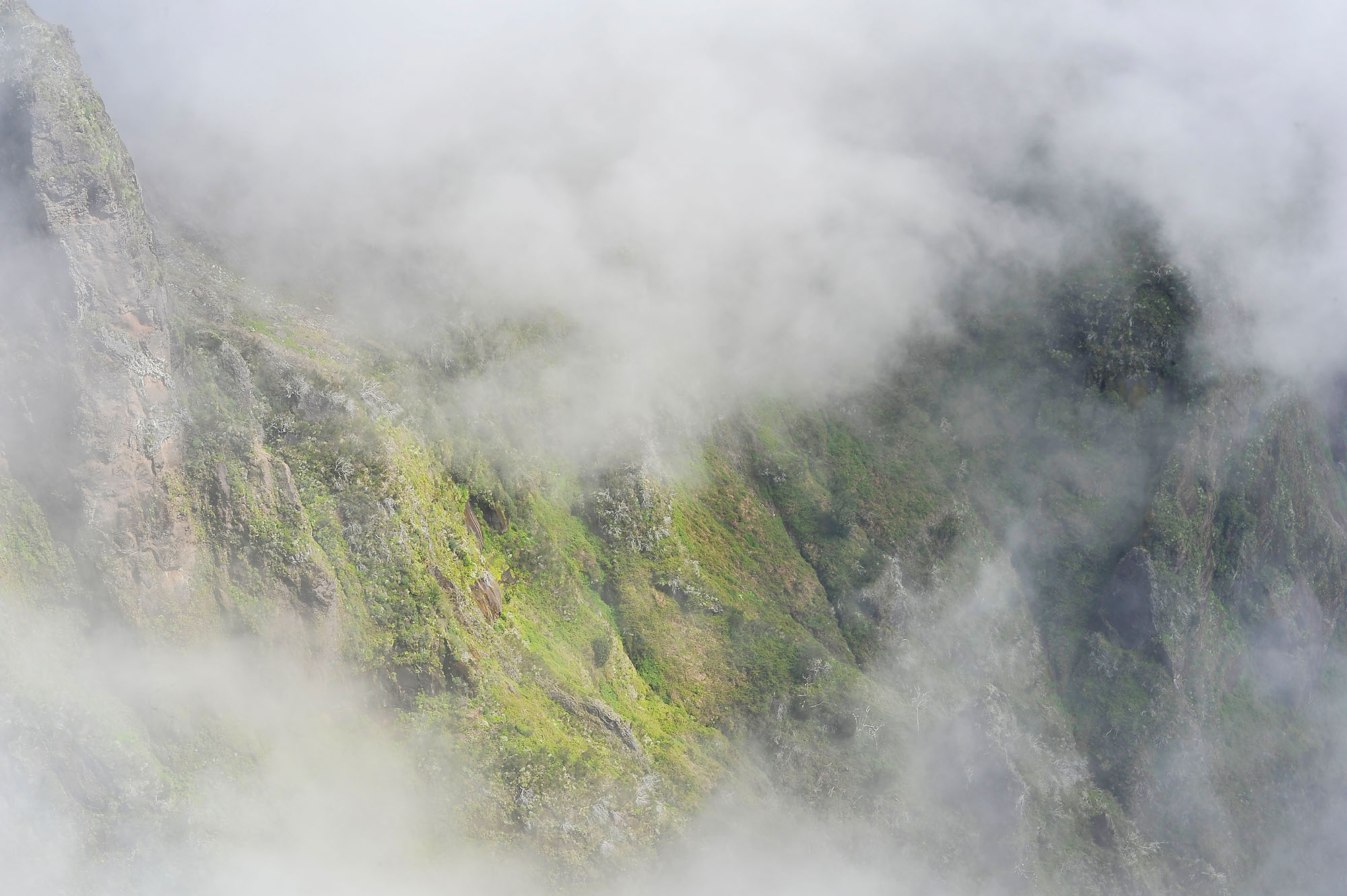 Вкусная Барселона, ароматная Португалия и сказочный остров Мадейра. (29/82)