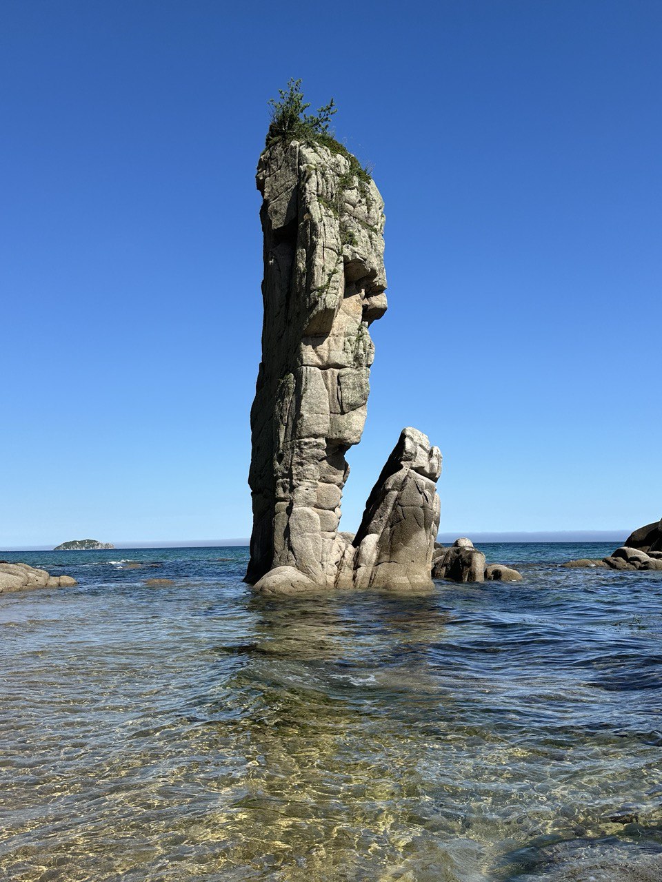 Земля тигров, неделя с комфортом, все включено. Тайга, море и Владивосток. (7/35)