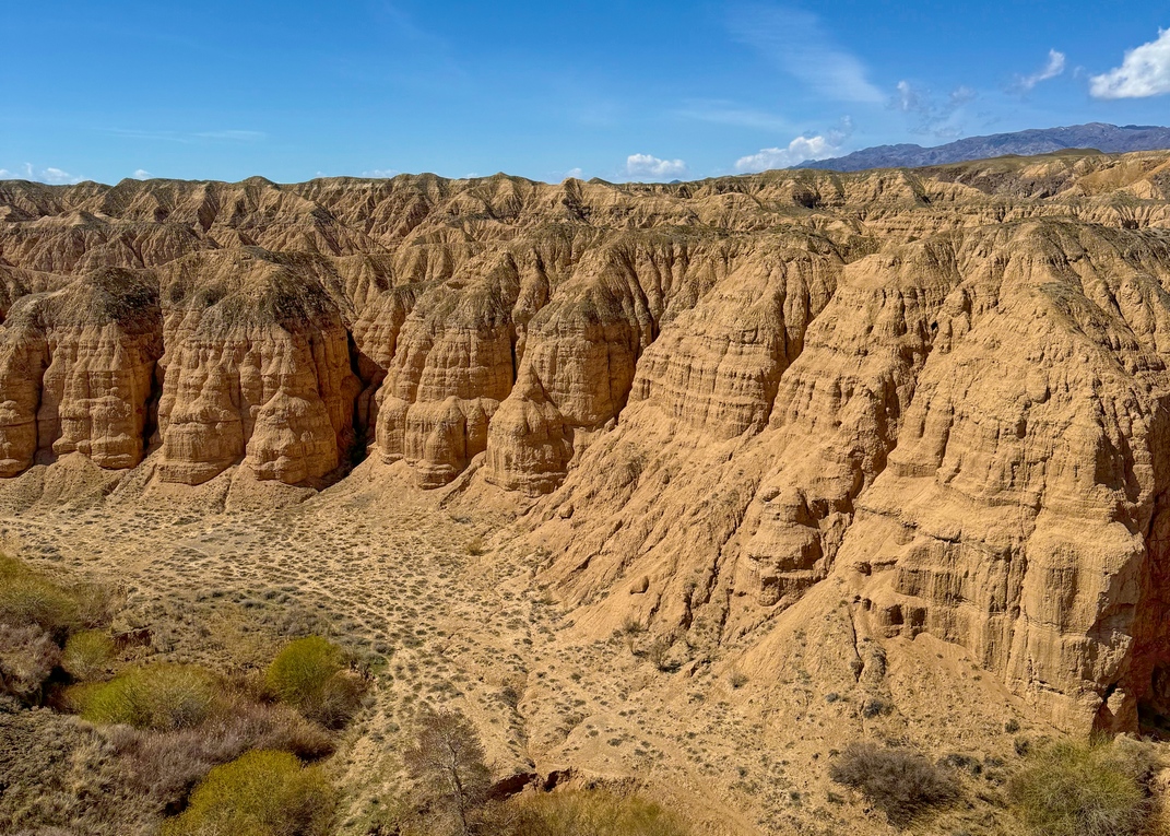 Природа Казахстана (2/37)