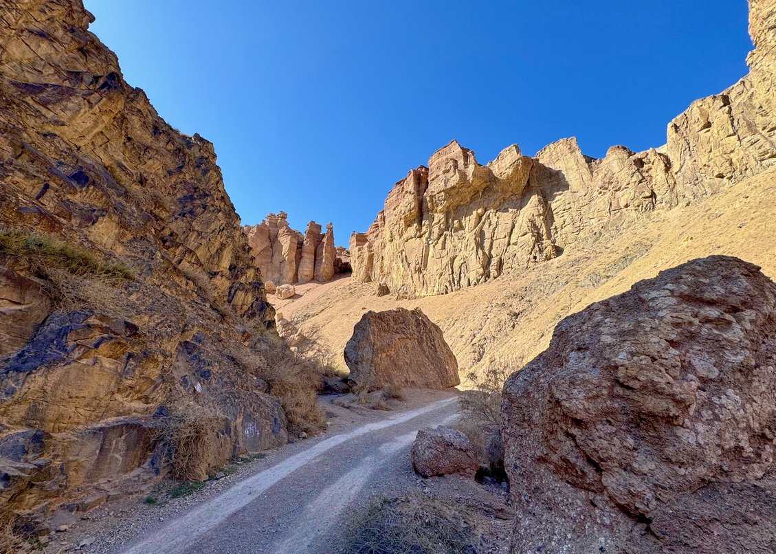 Природа Казахстана (16/37)