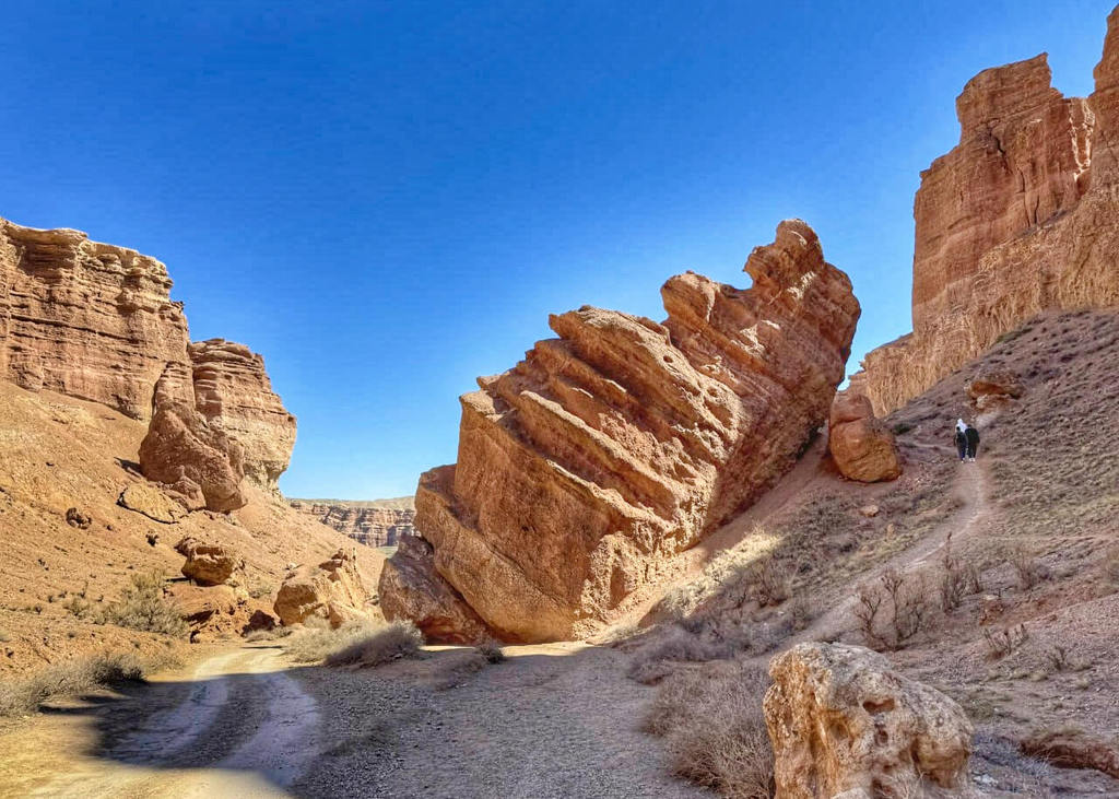 Природа Казахстана (21/37)