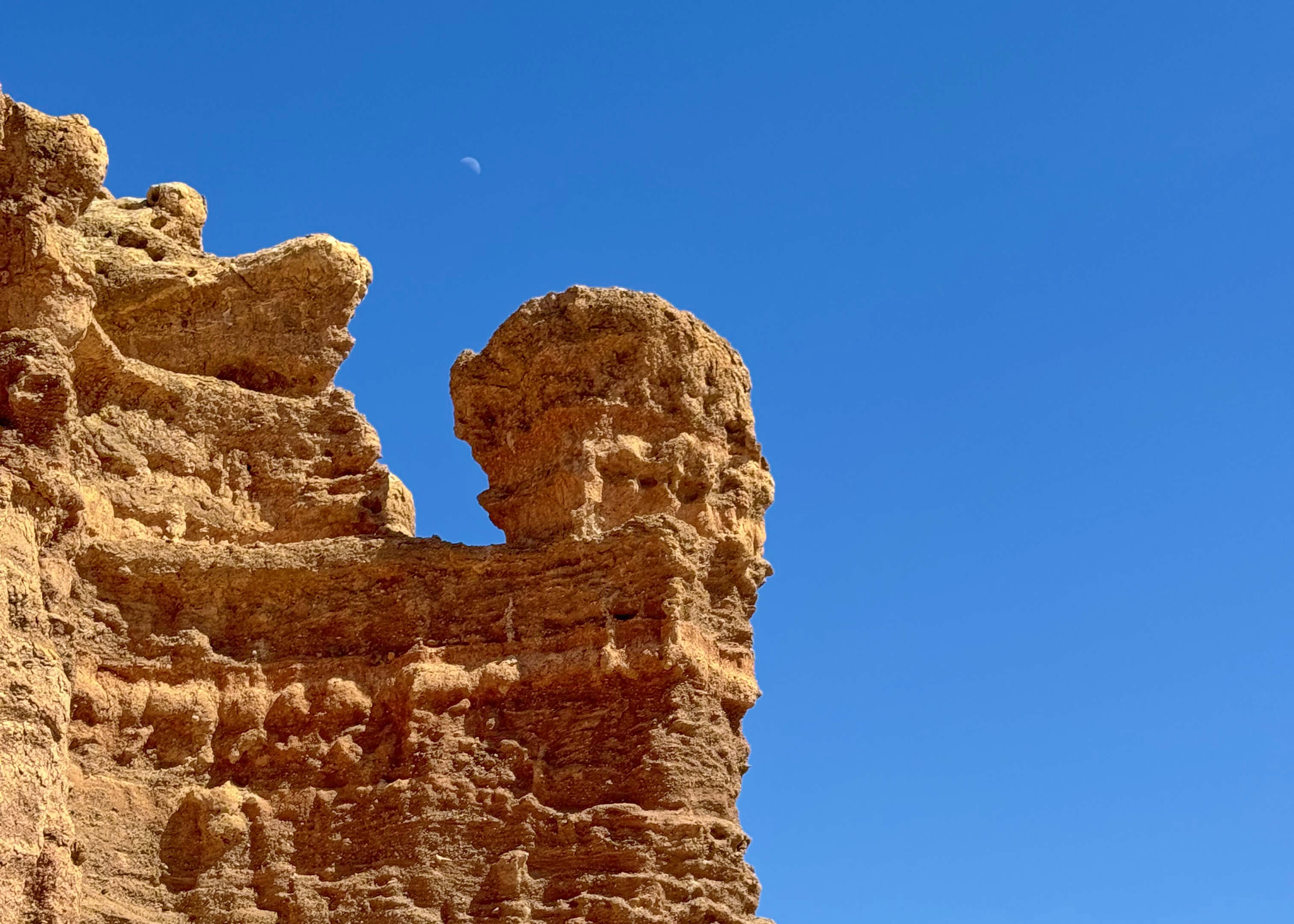 Природа Казахстана (15/37)