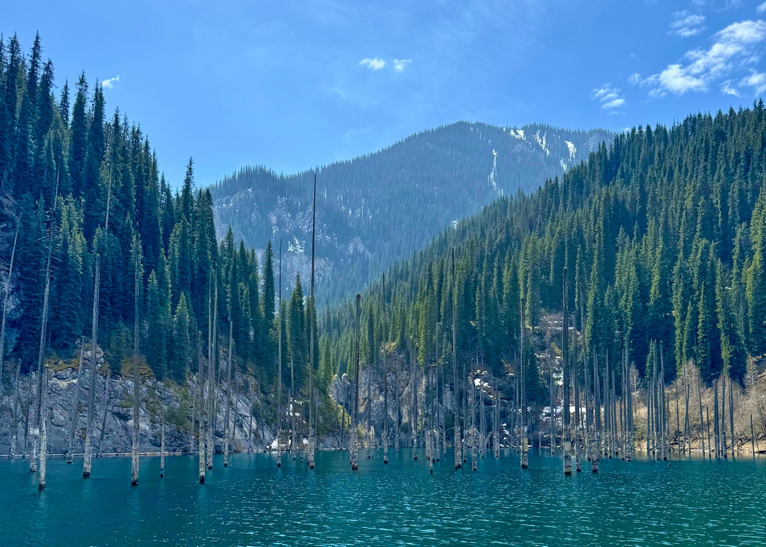 Природа Казахстана (17/37)