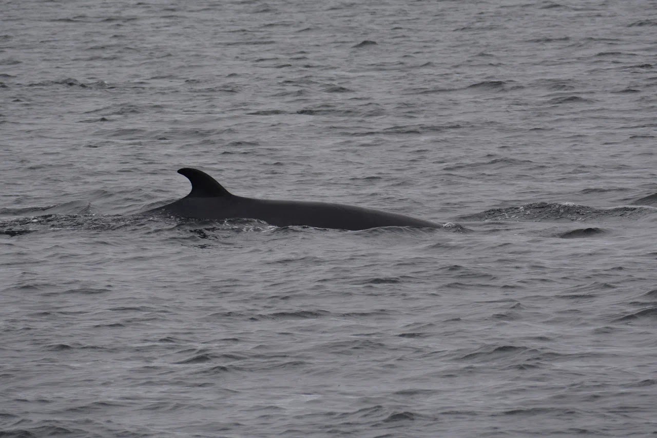 Большие приключения в Териберке: морепродукты, выход в море, топовые локации за один день