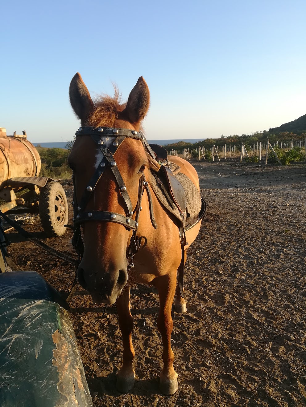 Кино в Крыму Кино с начала! (4/30)