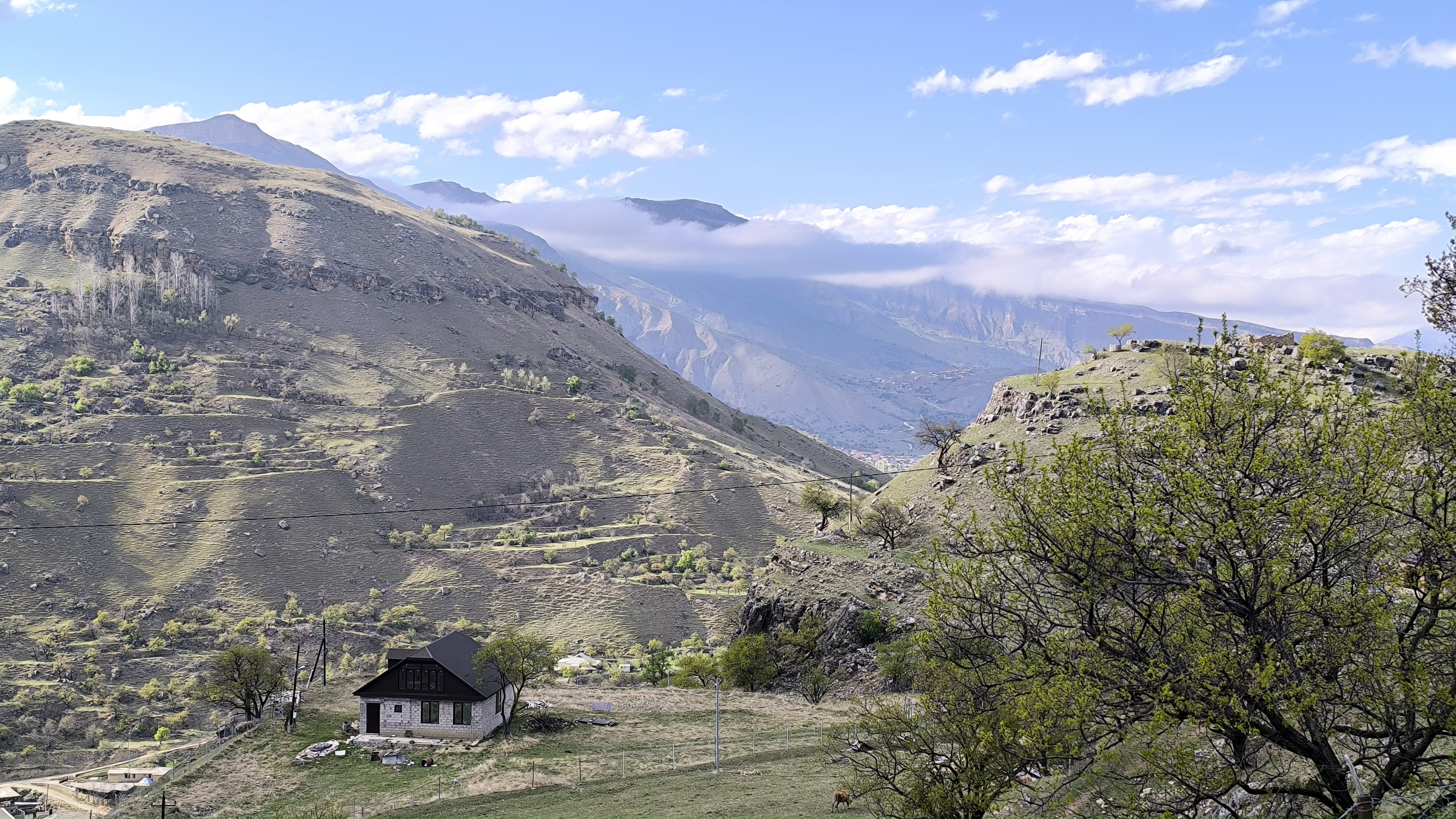 Плато Турчидаг и аул-призрак Турчи (6/20)