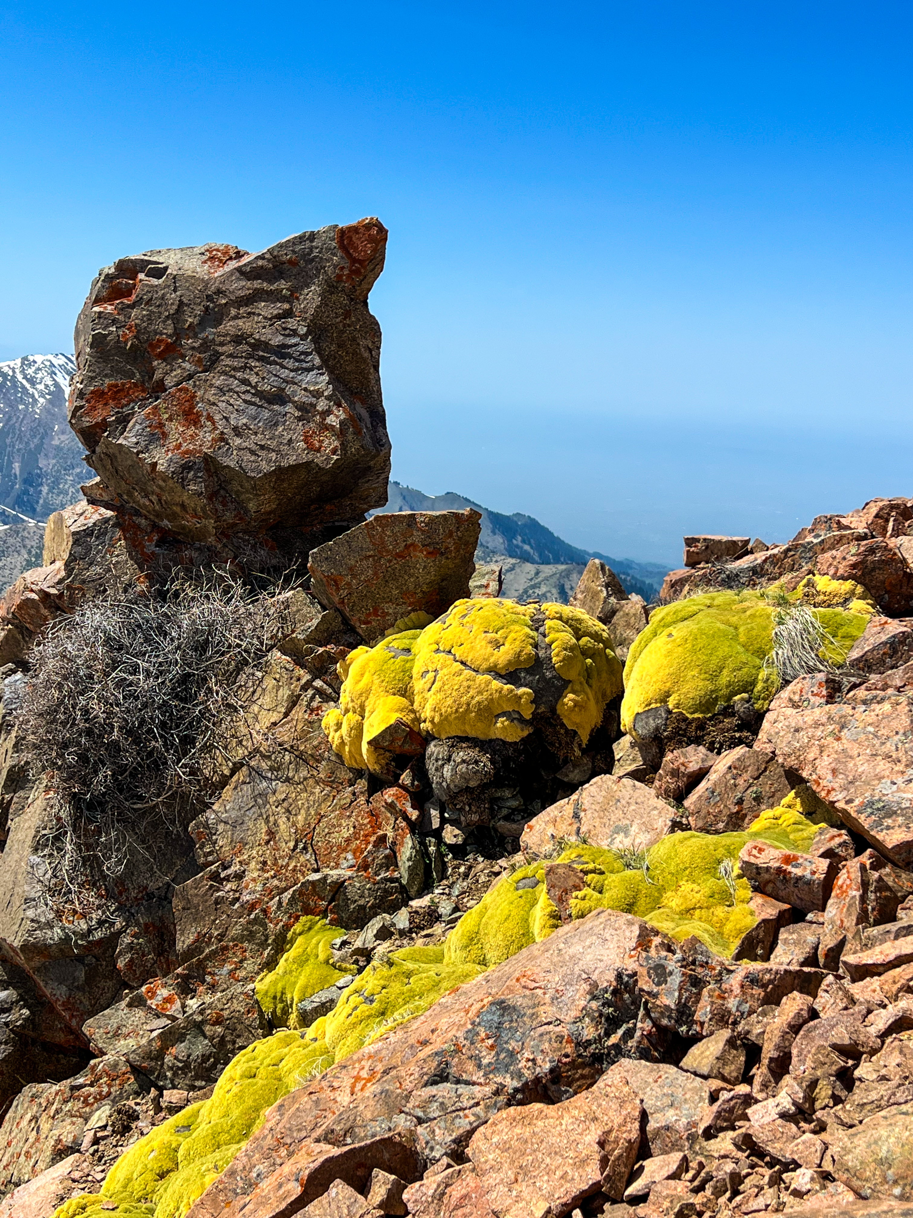 Казахстан: 7 Дней - 1000 Открытий (14/43)