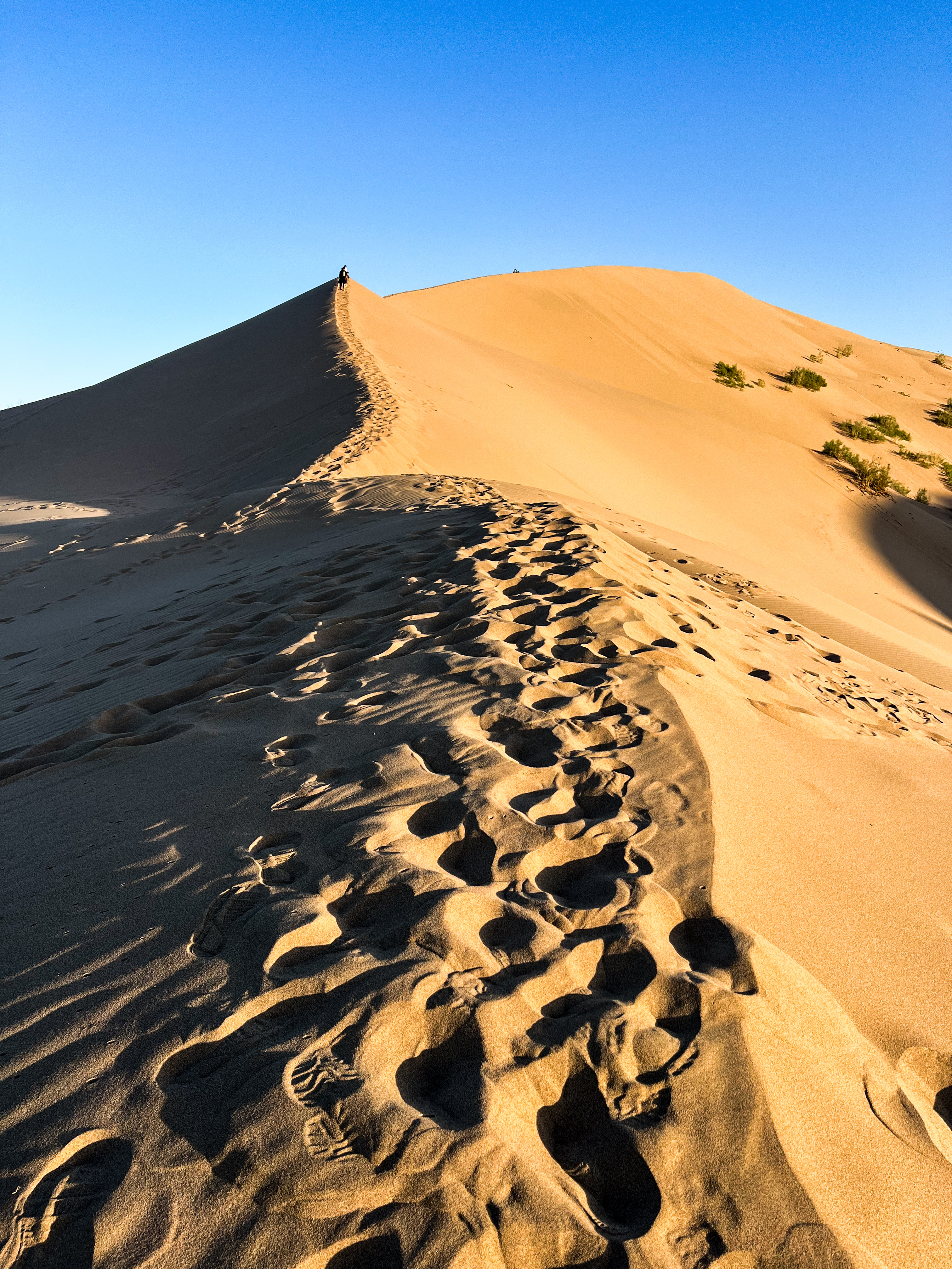 Казахстан: 7 Дней - 1000 Открытий (13/43)