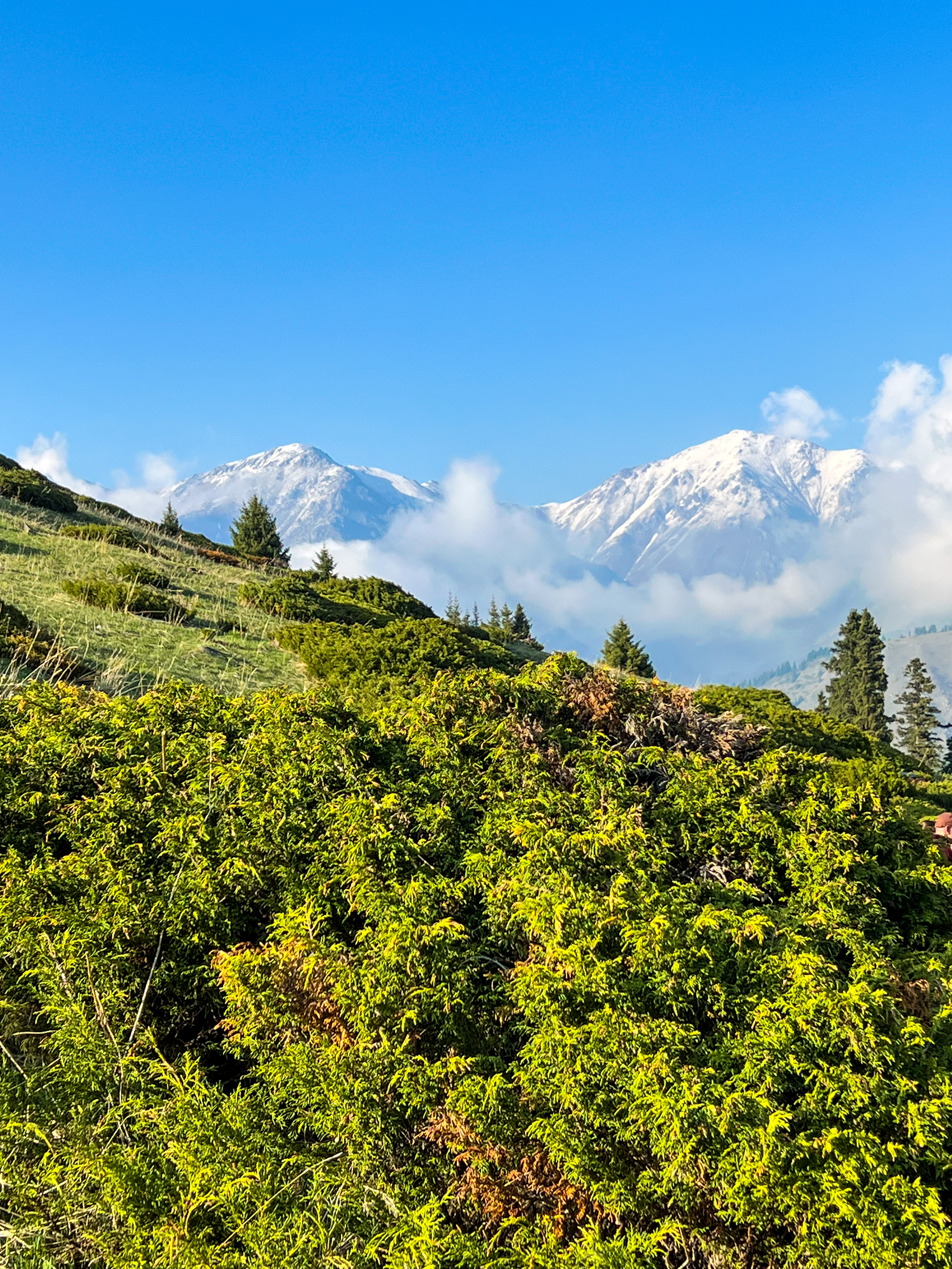 Казахстан: 7 Дней - 1000 Открытий (7/43)