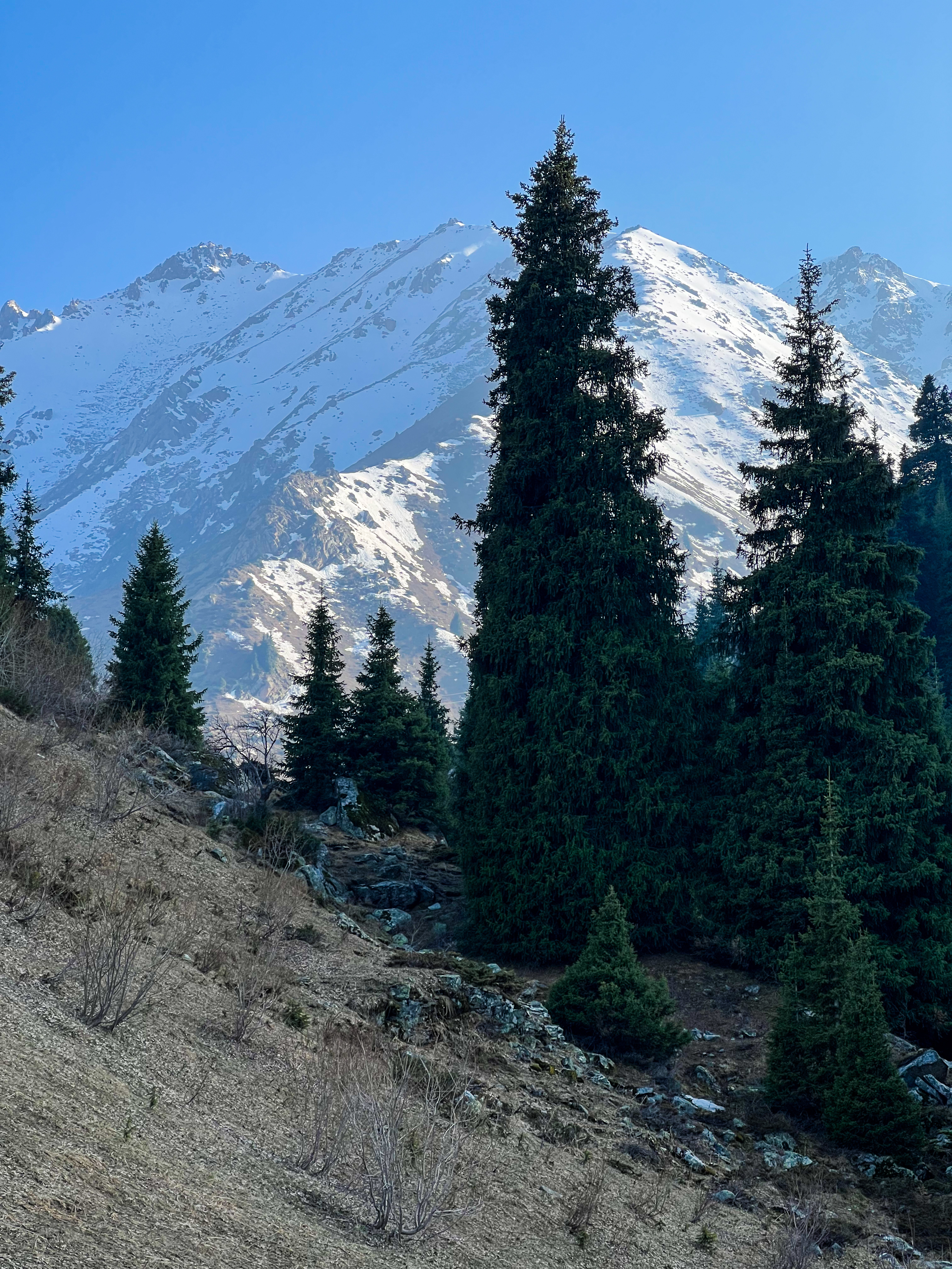 Казахстан: 7 Дней - 1000 Открытий (10/43)