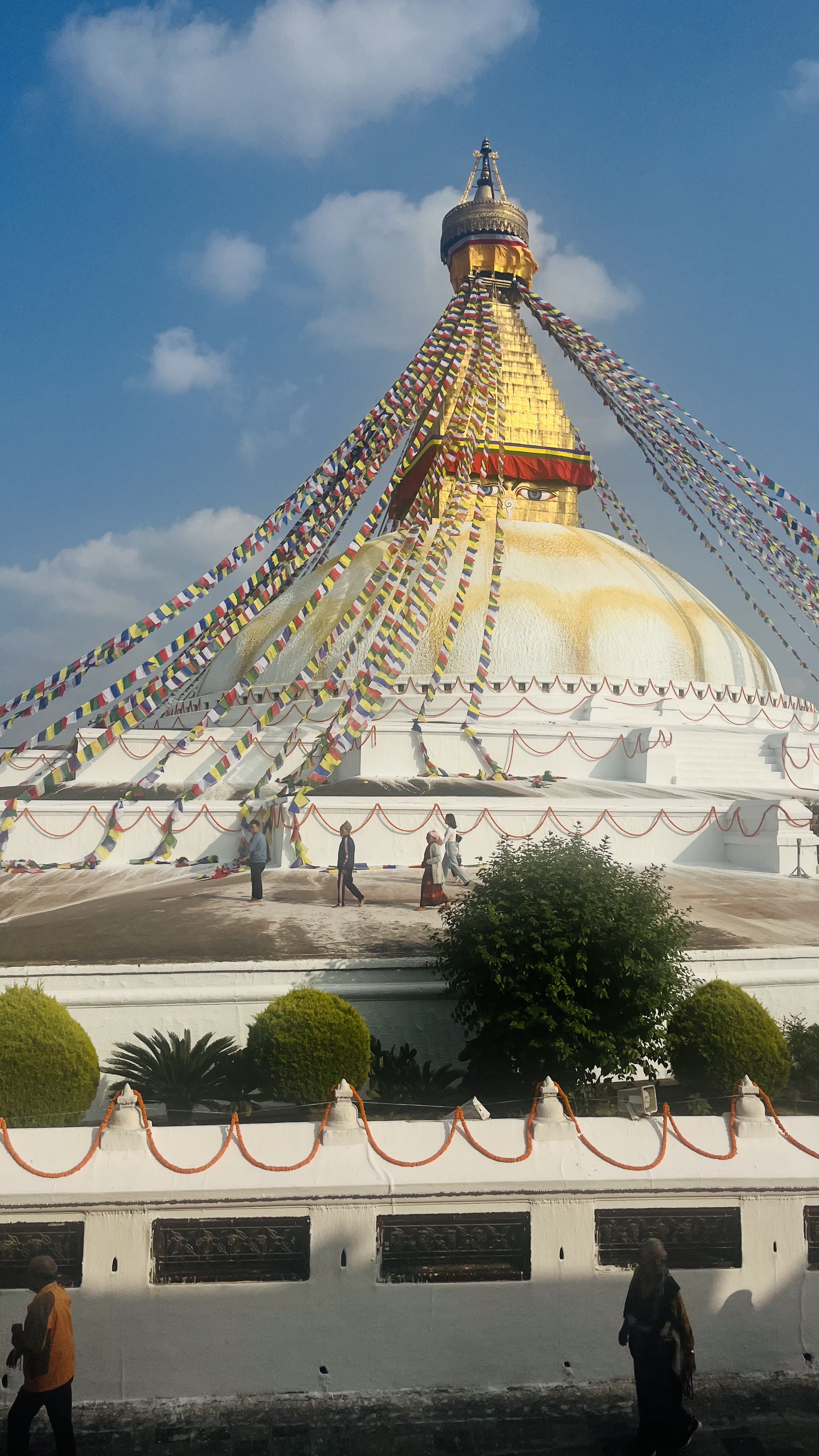 Непал+Бутан за 11 дней с русскоязычным гидом (7/14)