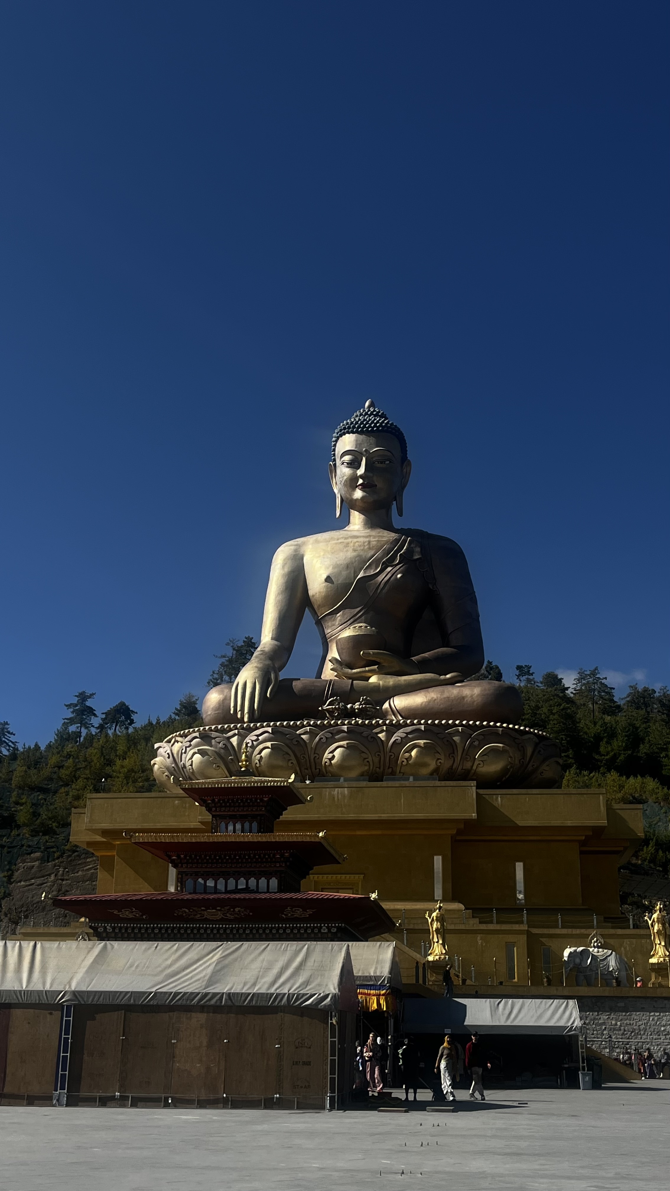 Непал+Бутан за 11 дней с русскоязычным гидом (5/14)